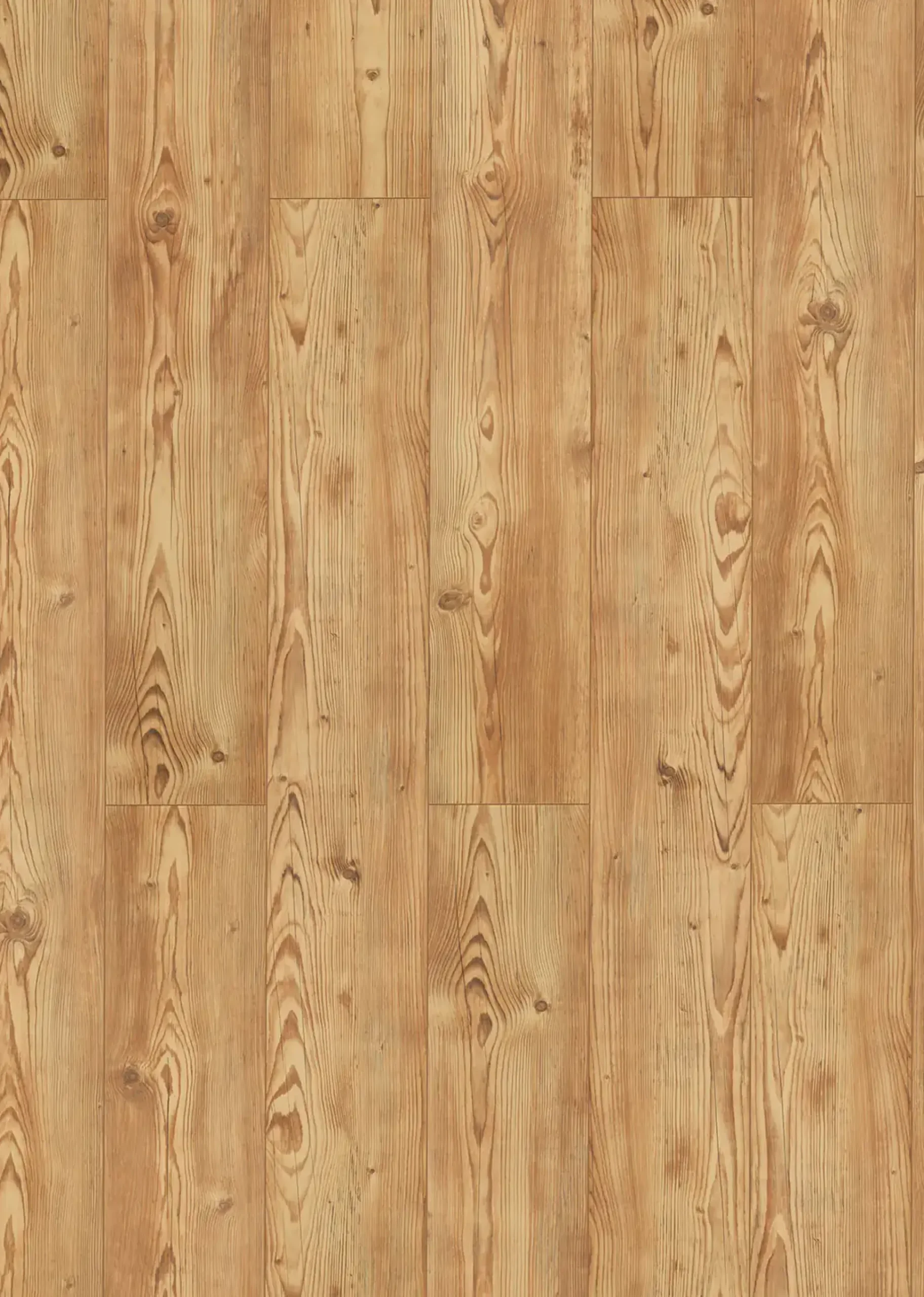 Classen Laminat Grande XXL Angkor