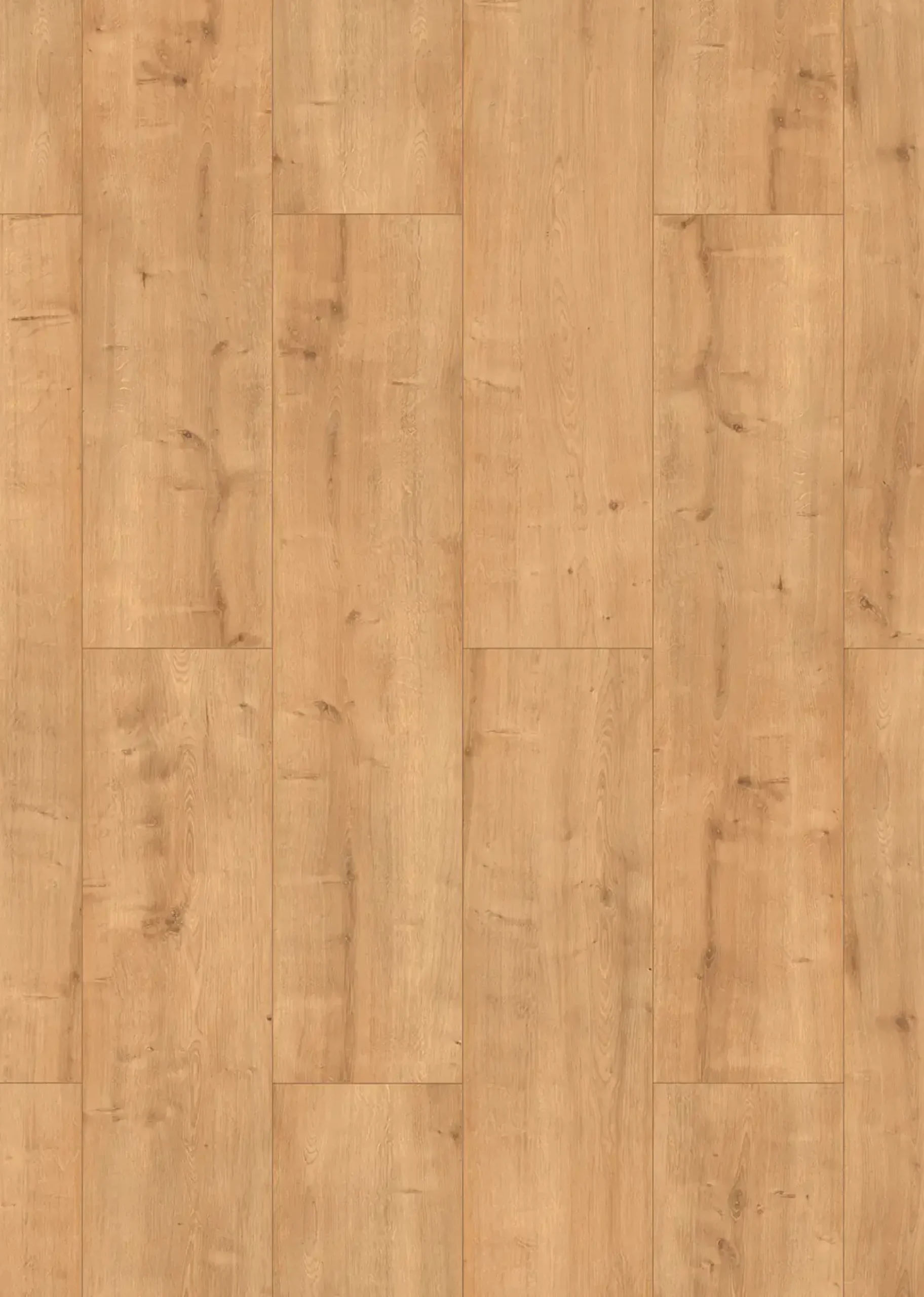Classen Laminat Grande XXL Carthage Eiche dunkelbeige