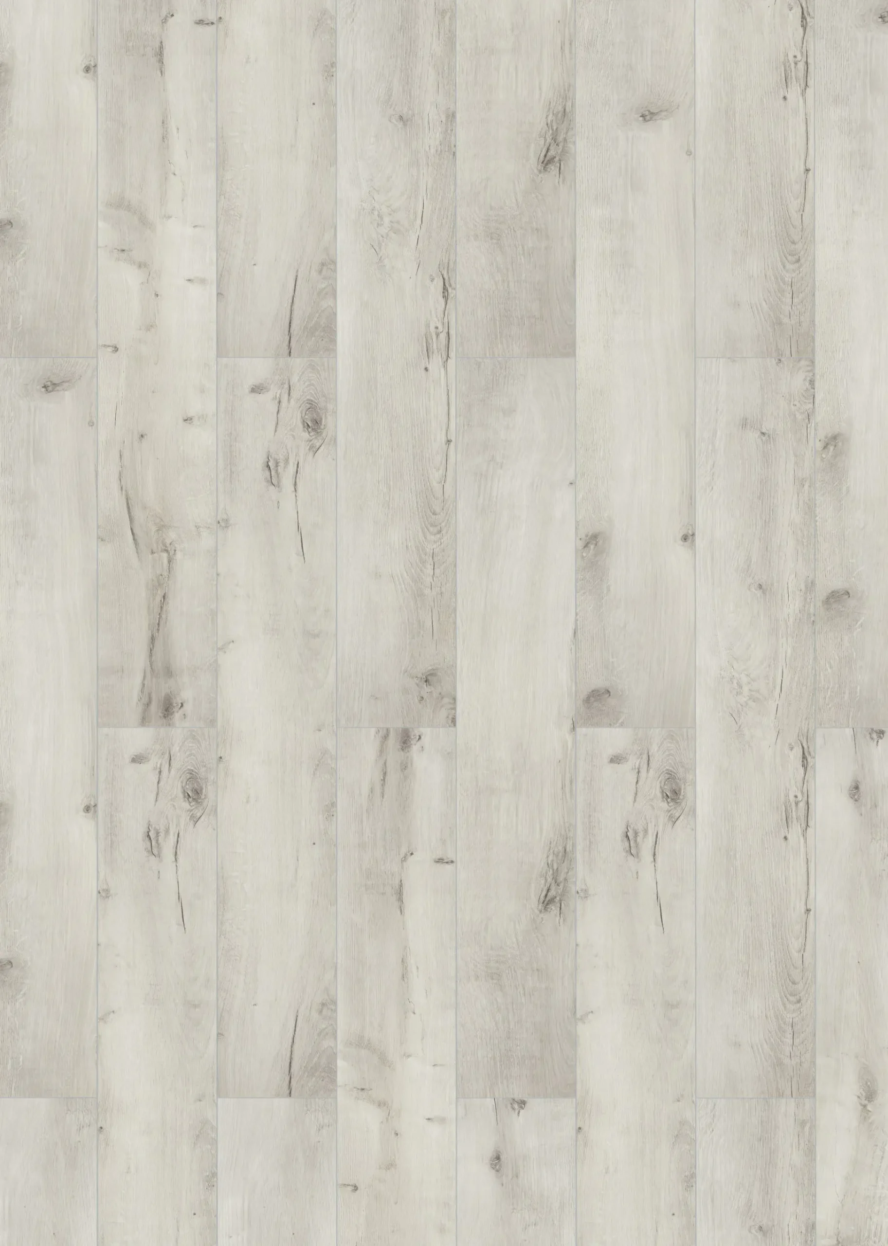 Classen Laminat Megaloc Aquaprotect 128,5 x 19,2 cm 8 mm Oak creme