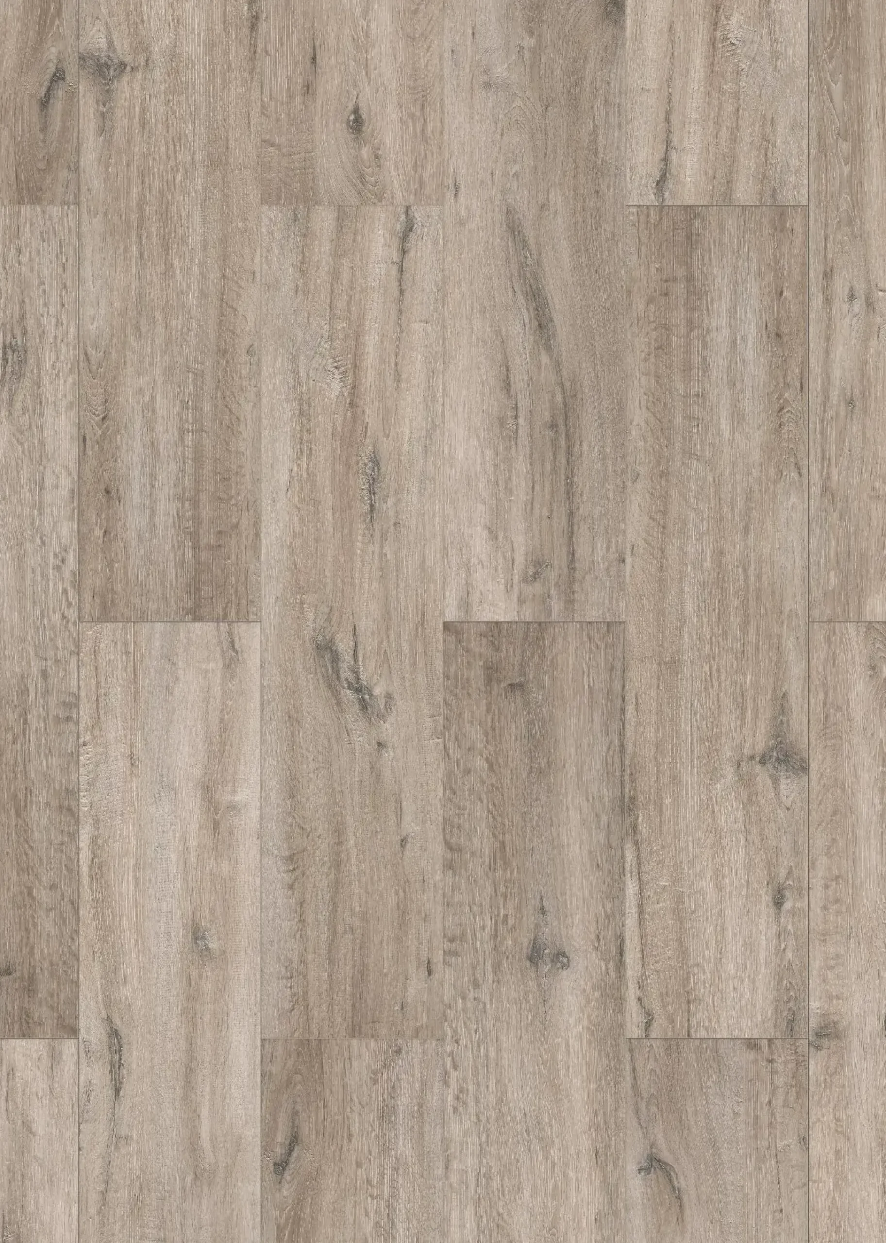 Classen Laminat Megaloc Aquaprotect XL Eiche grau braun LHD