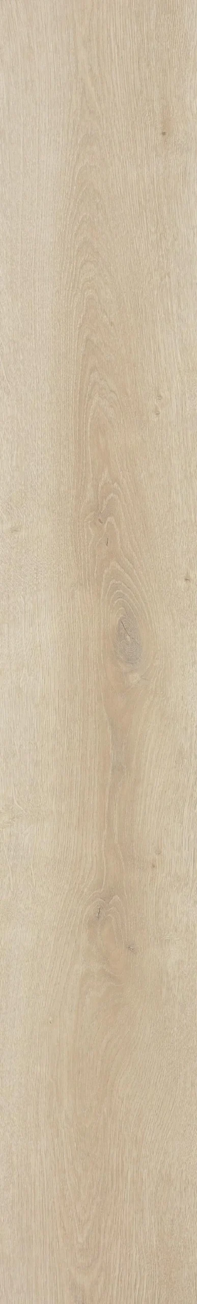 Classen Laminat Megaloc Aquaprotect 128,5 x 19,2 cm 8 mm Oak creme natural