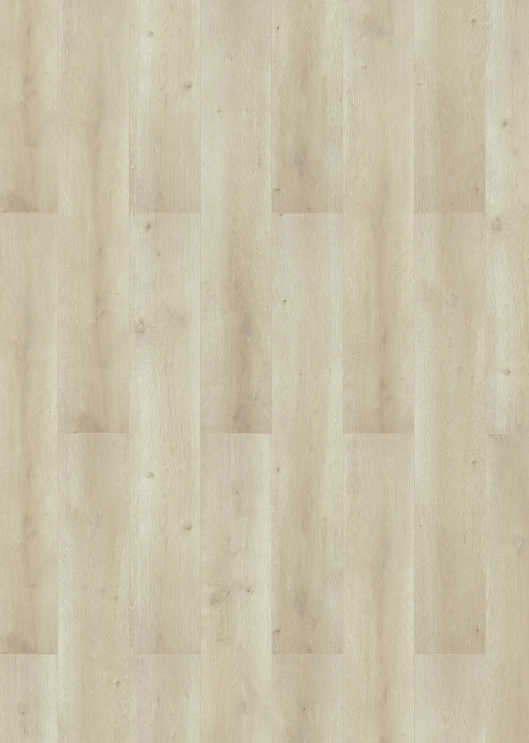 Classen Laminat Megaloc Aquaprotect 128,5 x 19,2 cm 8 mm Oak creme natural