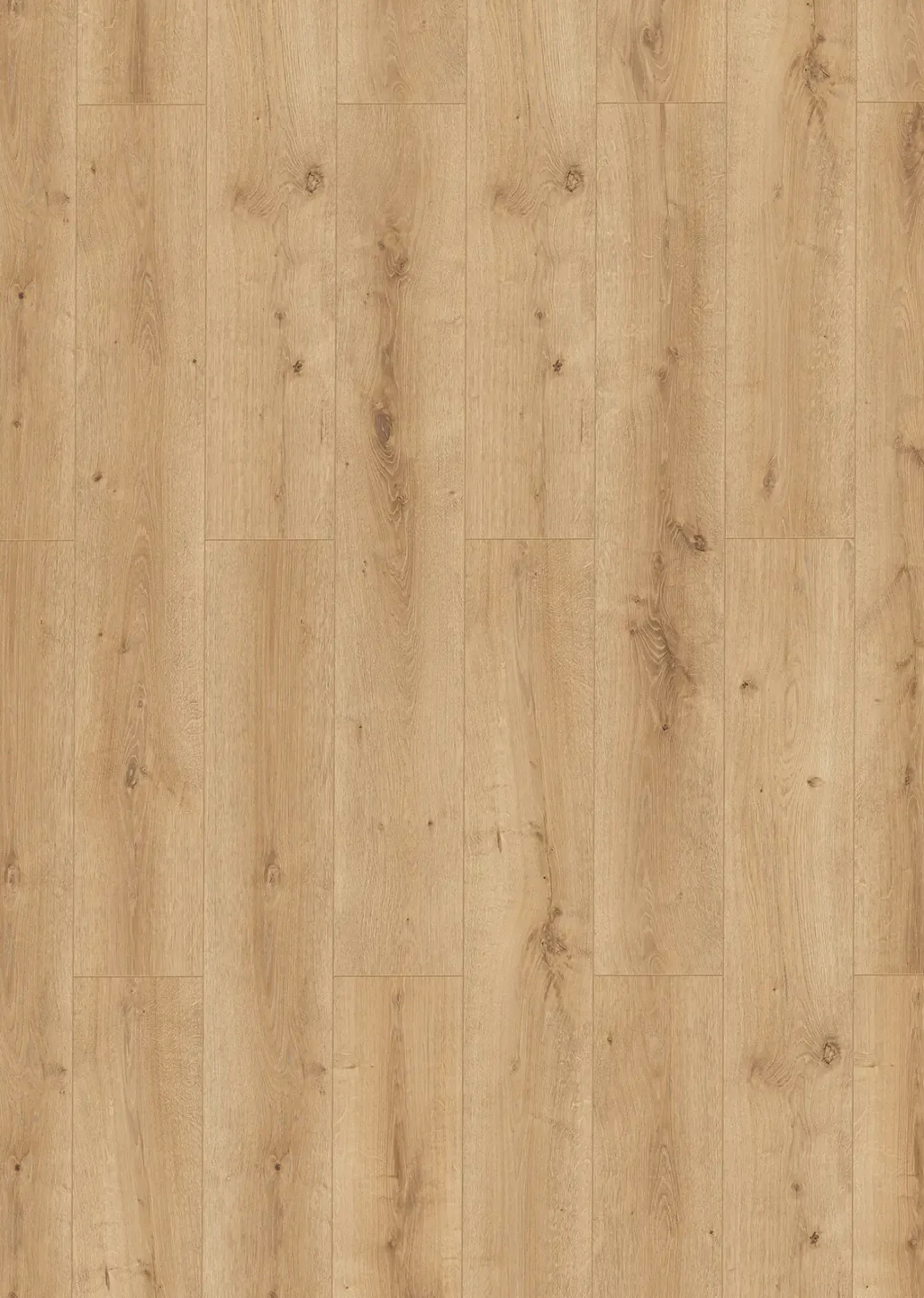 Classen Laminat Megaloc Aquaprotect Bellemont Oak sand