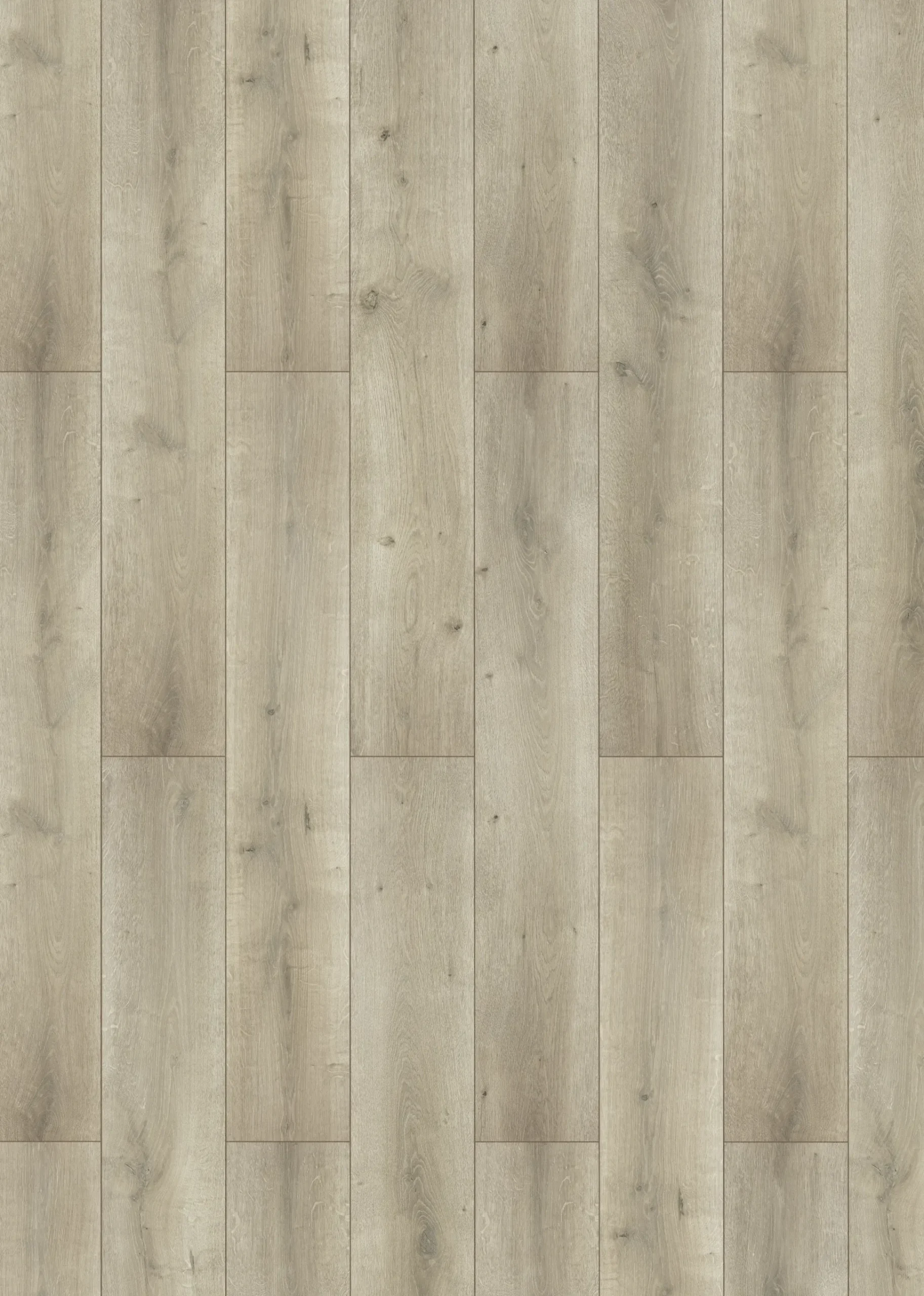 Classen Laminat Megaloc Aquaprotect Oak light grey brown