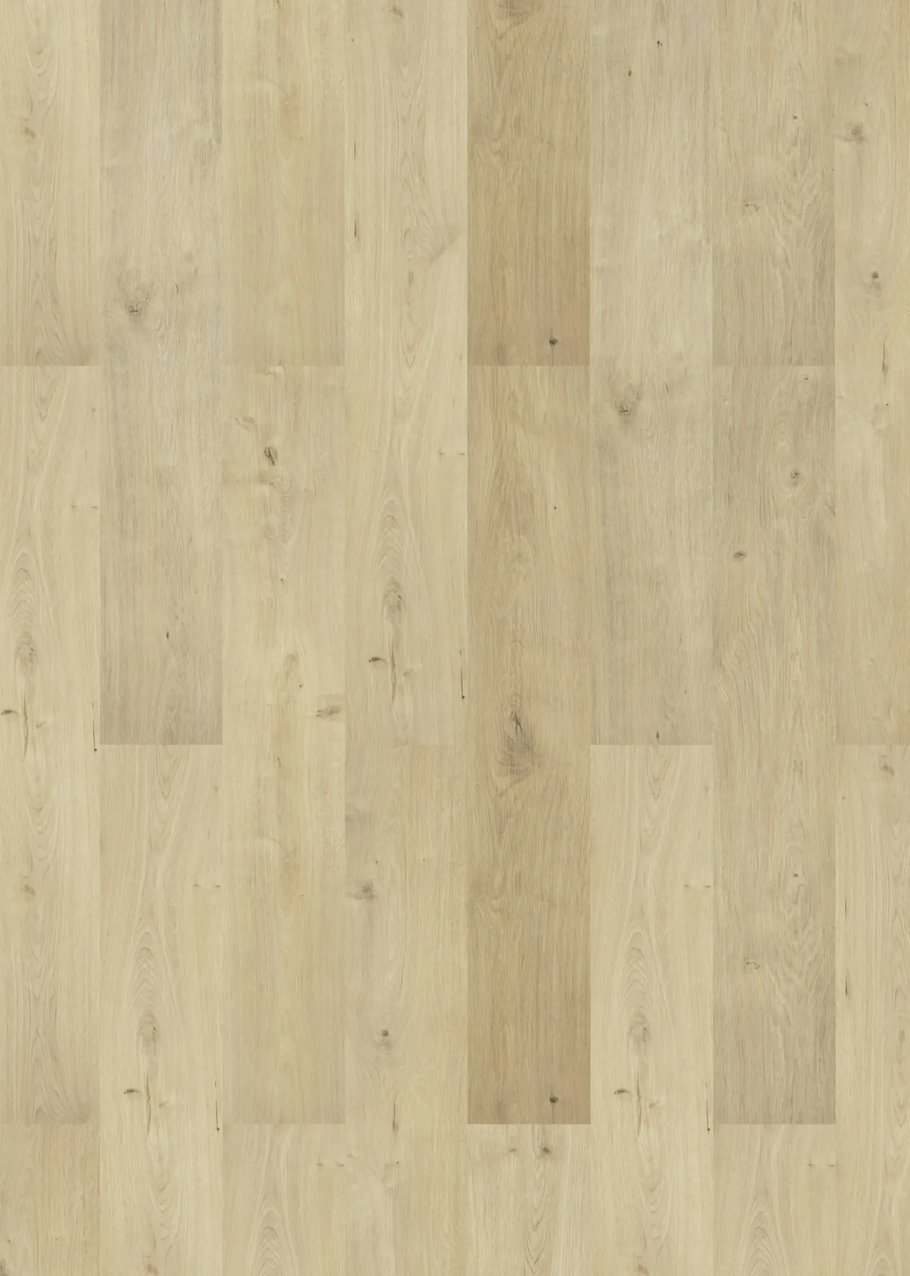 Classen Laminat Megaloc Aquaprotect 128,5 x 19,2 cm 8 mm Eiche Sombra