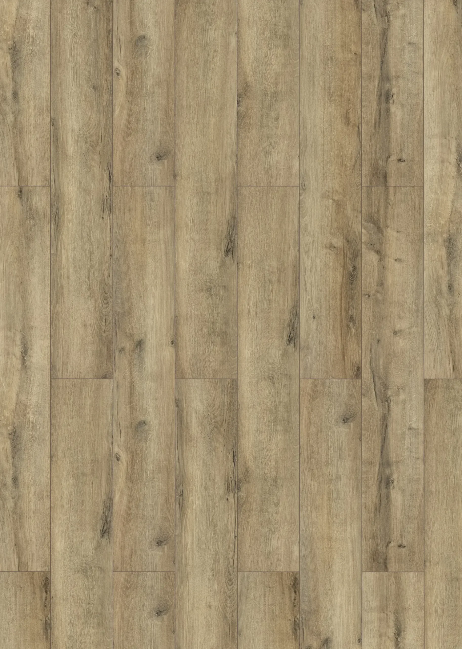 Classen Laminat Megaloc Aquaprotect 128,5 x 19,2 cm 8 mm Oak natural grey