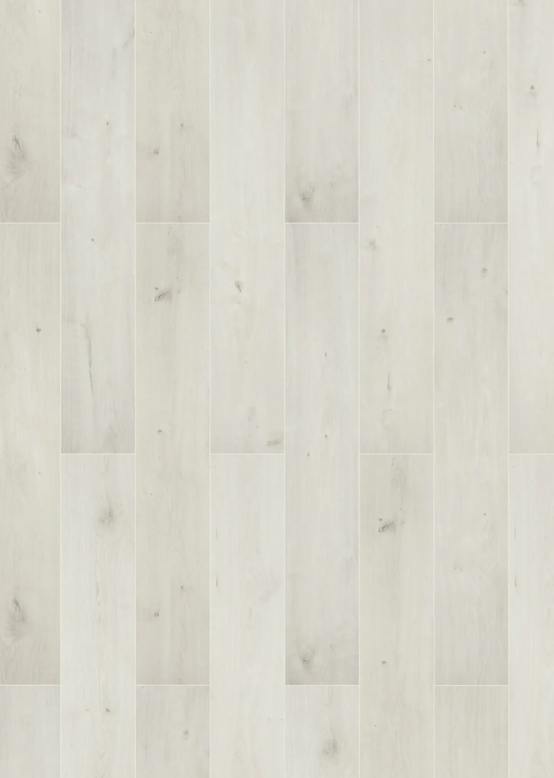 Classen Laminat Megaloc Aquaprotect 128,5 x 19,2 cm 8 mm Oak white mix