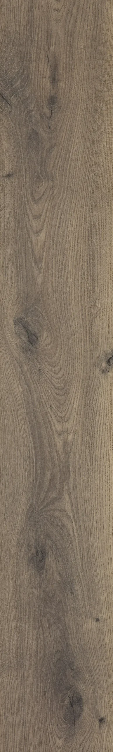 Classen Laminat Megaloc Aquaprotect 128,5 x 19,2 cm 8 mm Eiche braun mix