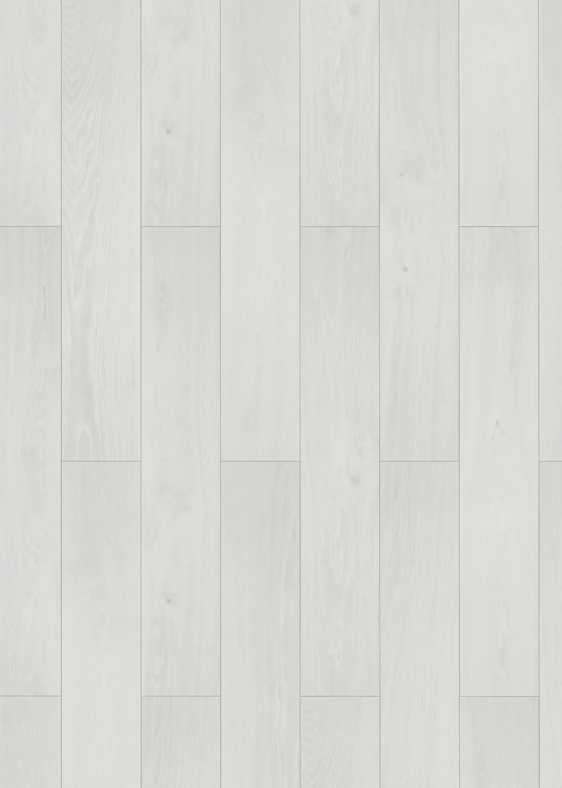Classen Laminat Megaloc Aquaprotect 128,5 x 19,2 cm 8 mm Oak white creme