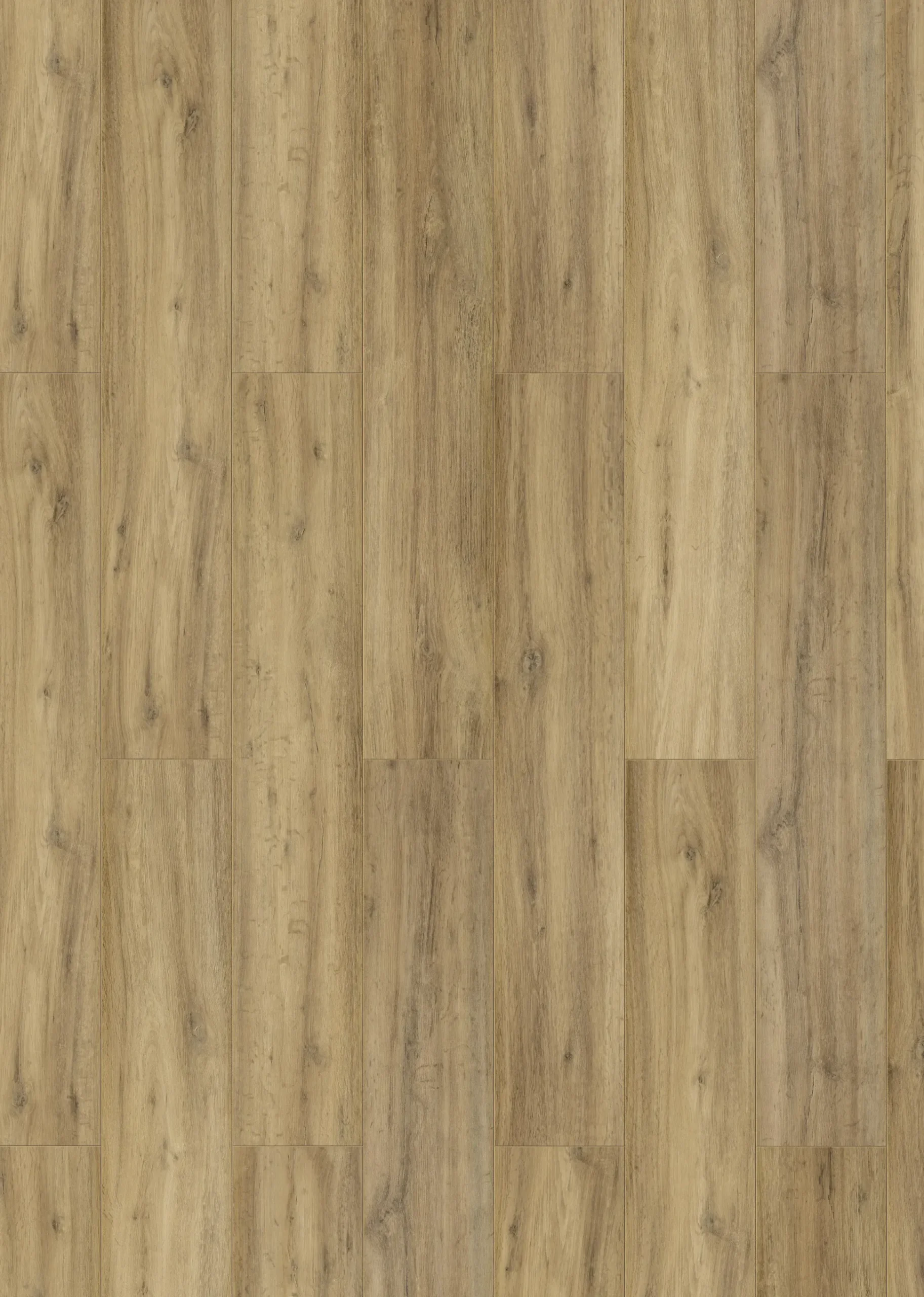 Classen Laminat Megaloc Aquaprotect 128,5 x 19,2 cm 8 mm Oak natural