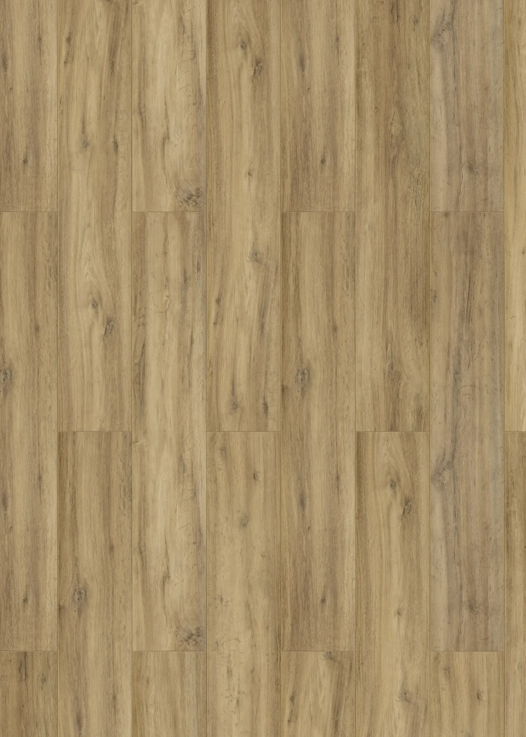 Classen Laminat Megaloc Aquaprotect 128,5 x 19,2 cm 8 mm Oak natural