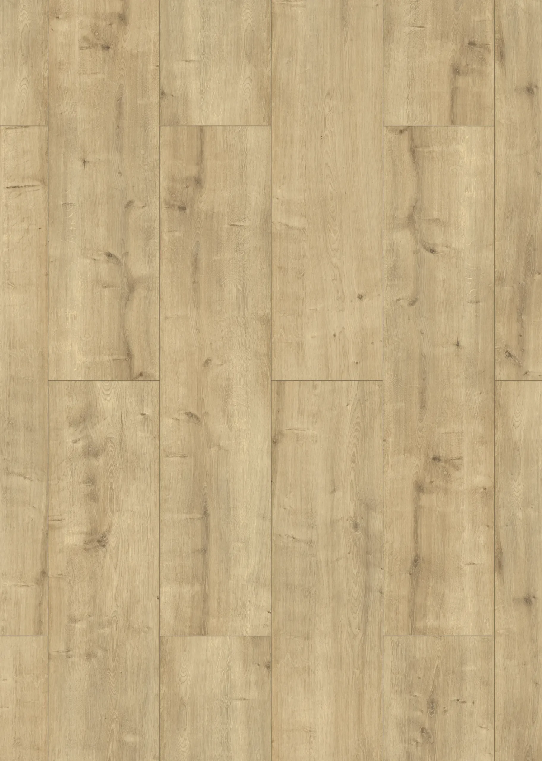 Classen Laminat Megaloc Aquaprotect XL Eiche beige dunkel LHD
