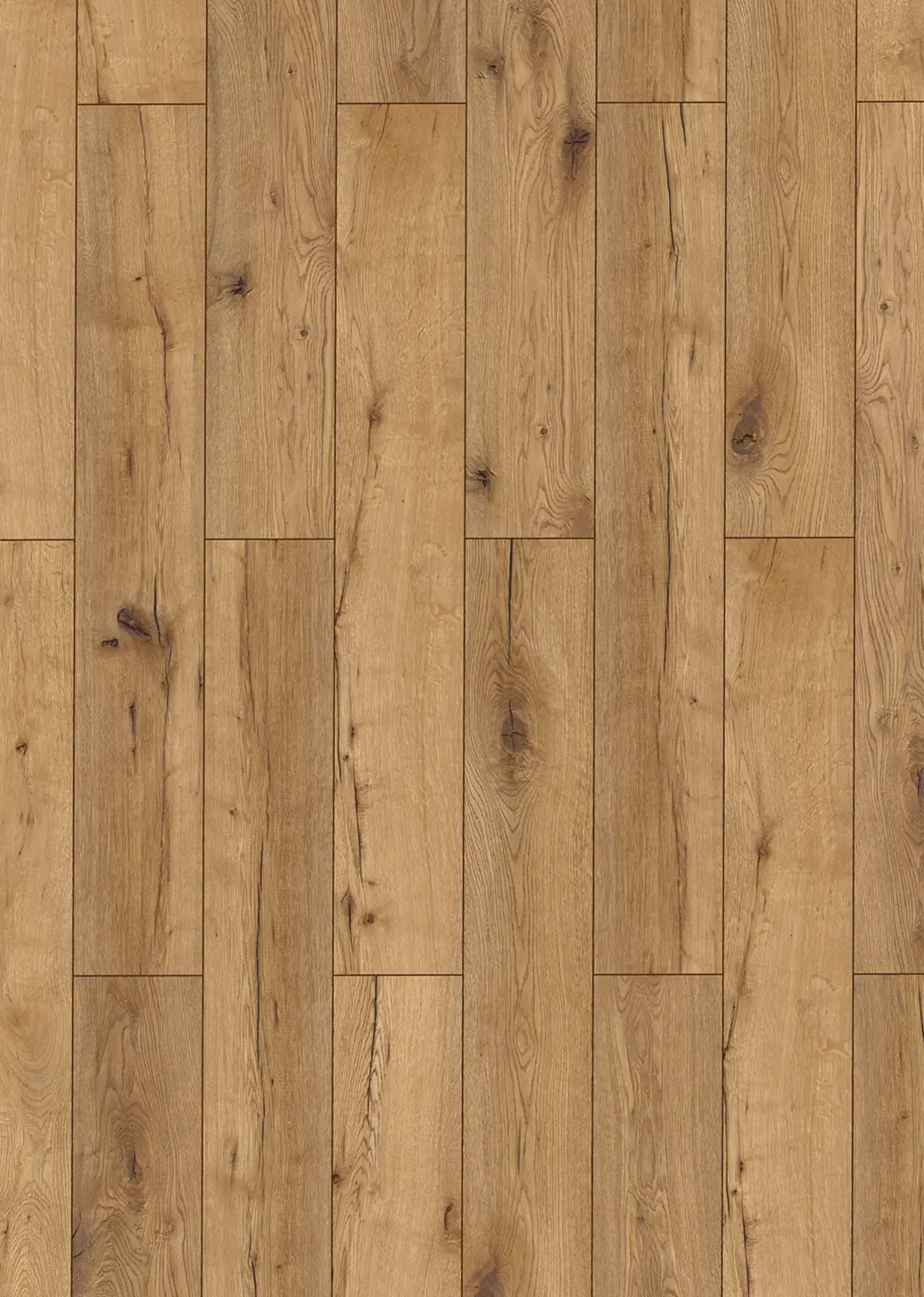 Classen Laminat mit Trittschalldämmung edition 7 WR Eiche Dorset