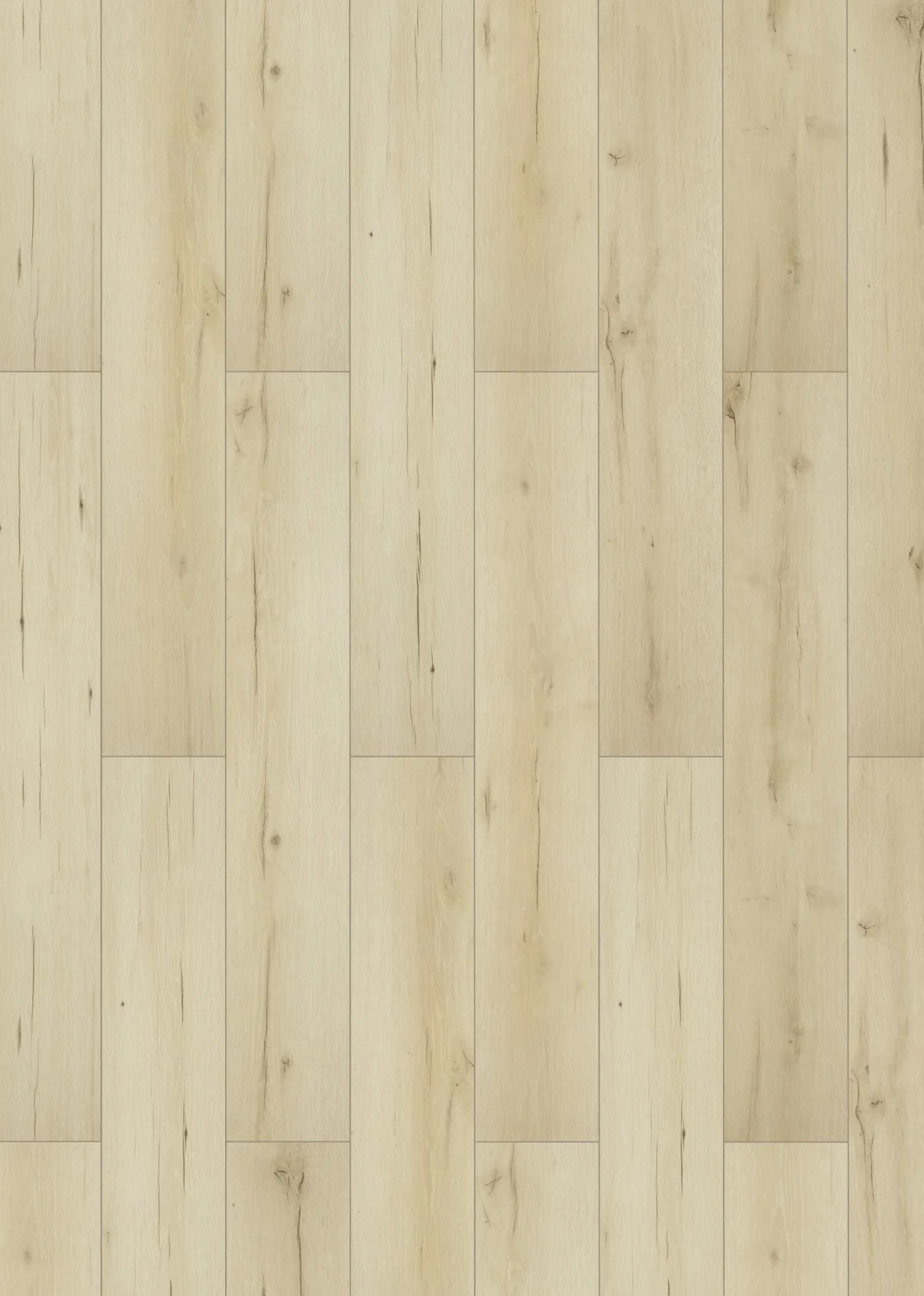 Classen Laminat Noblesse 128,6 x 19,4 cm 7 mm Eiche Cadoc