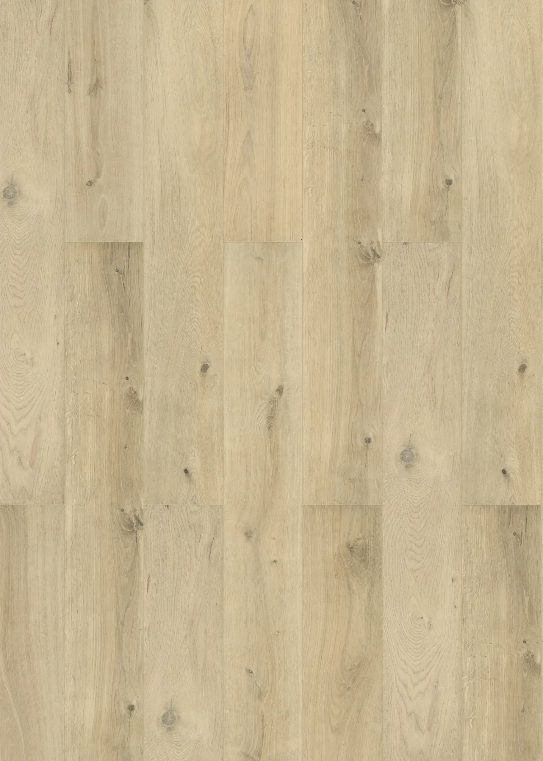 Classen Laminat Schatteneiche 48 Pack Palettenabnahme