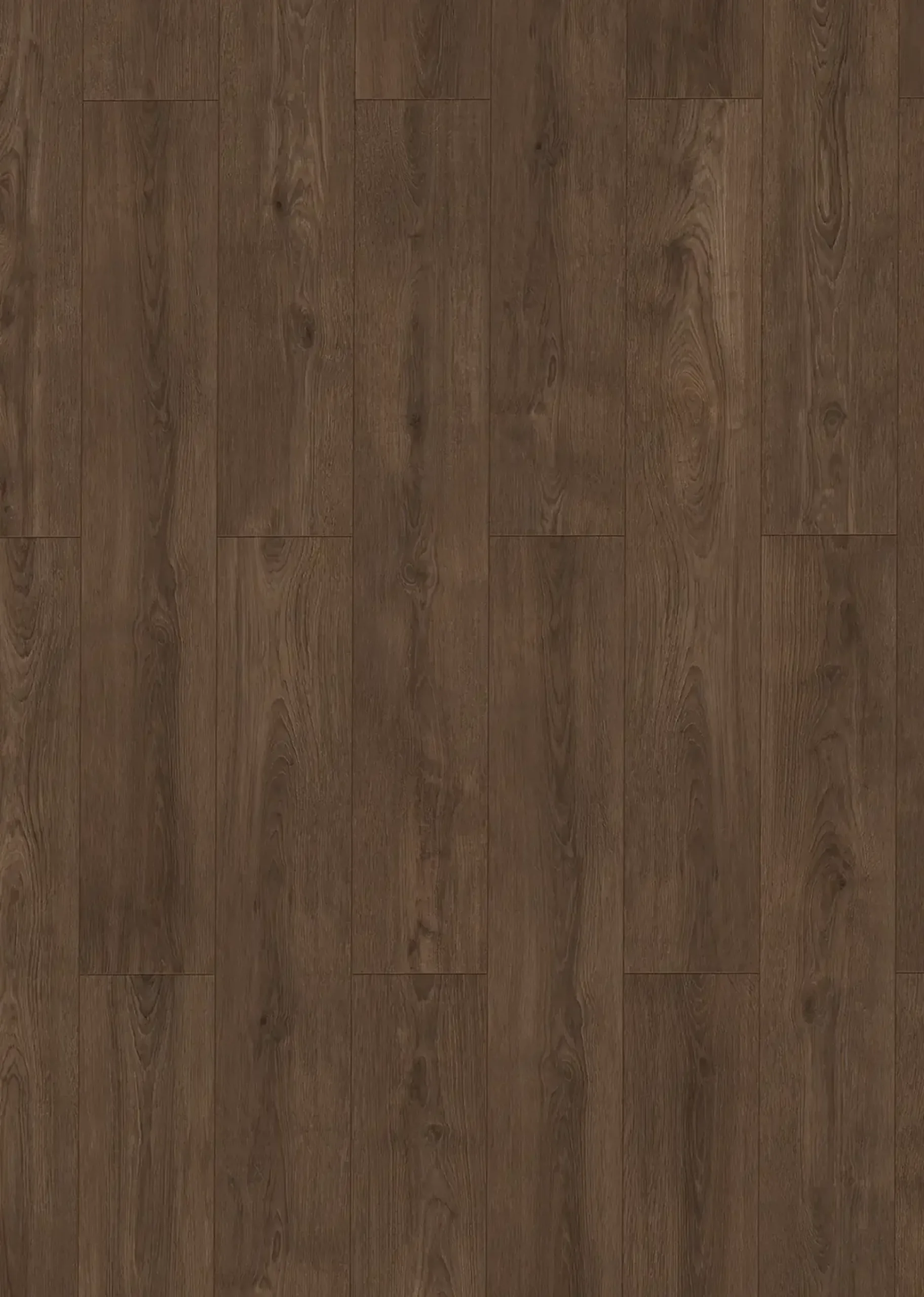 Classen Vinyl Designboden Ceramin Floors Tera Yoho Oak