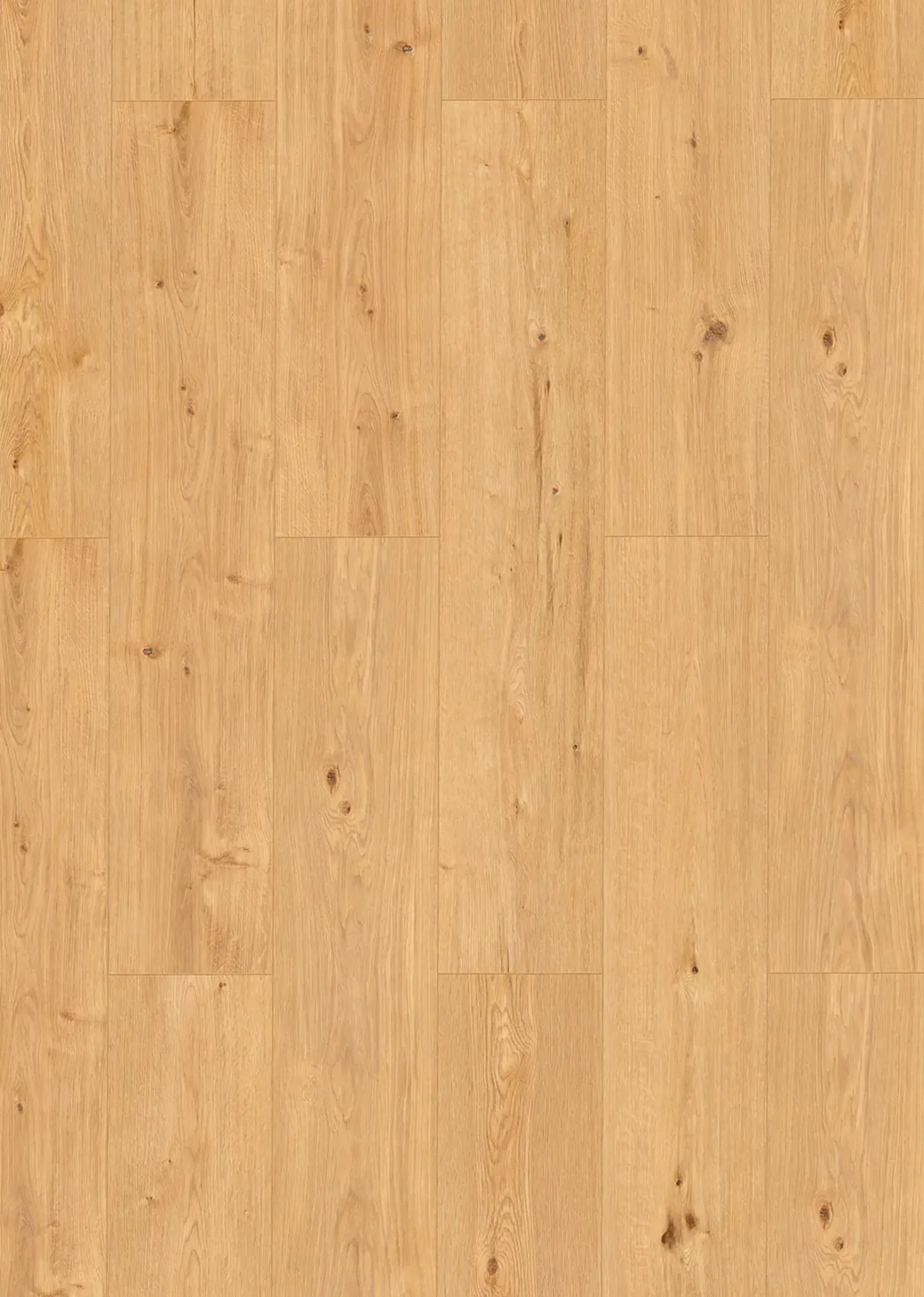 Classen Vinyl Designboden Ceramin Floors Tera Namadi Oak