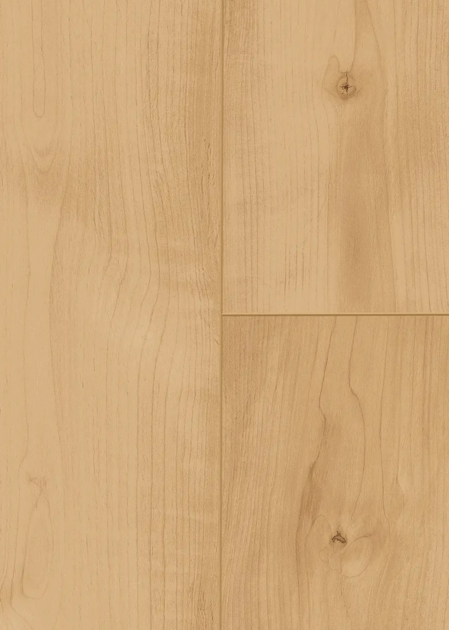 Classen Vinylboden Ceramin Floors Tera Eiche Champagner