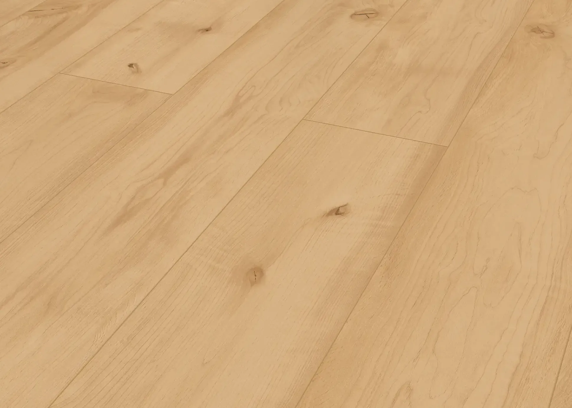 Classen Vinylboden Ceramin Floors Tera Eiche Champagner