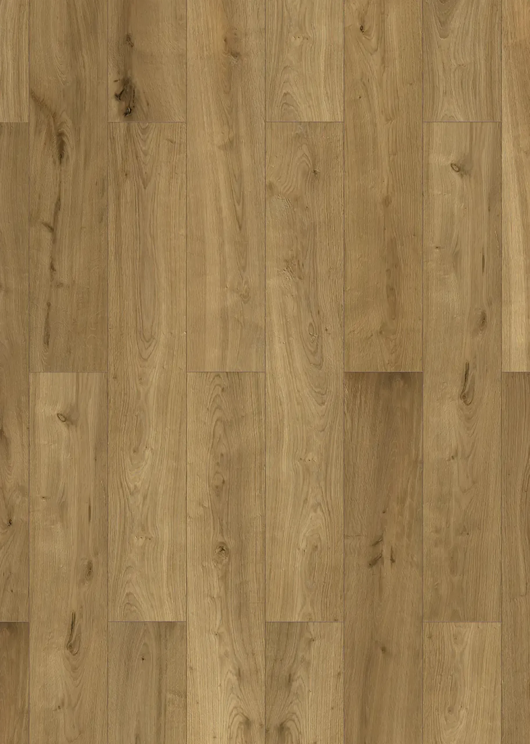 Classen Vinylboden NEO 2.0 Dolomit