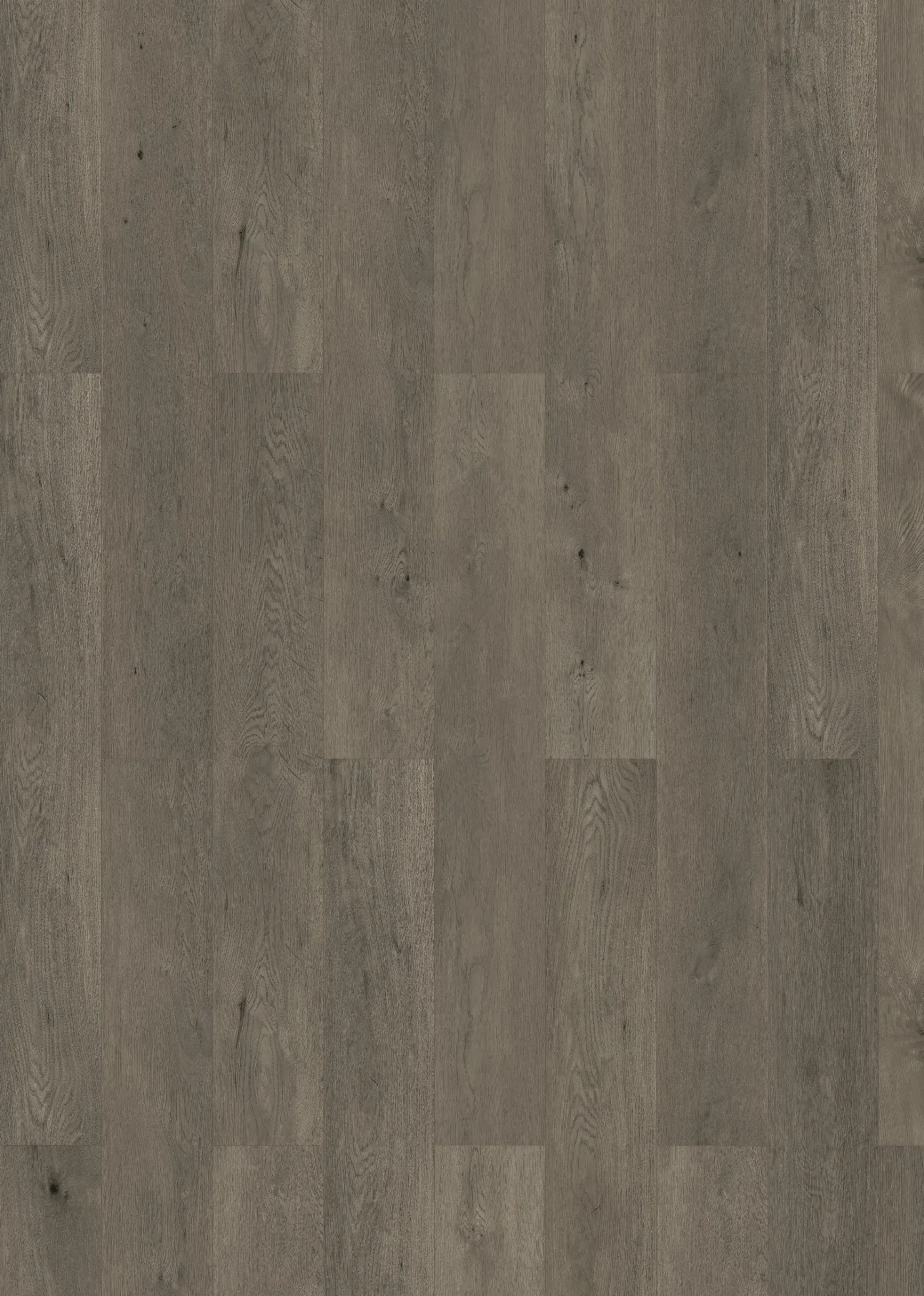 Classen Vinylboden Steineiche Landhausdiele 129 x 17,3 cm 4 mm