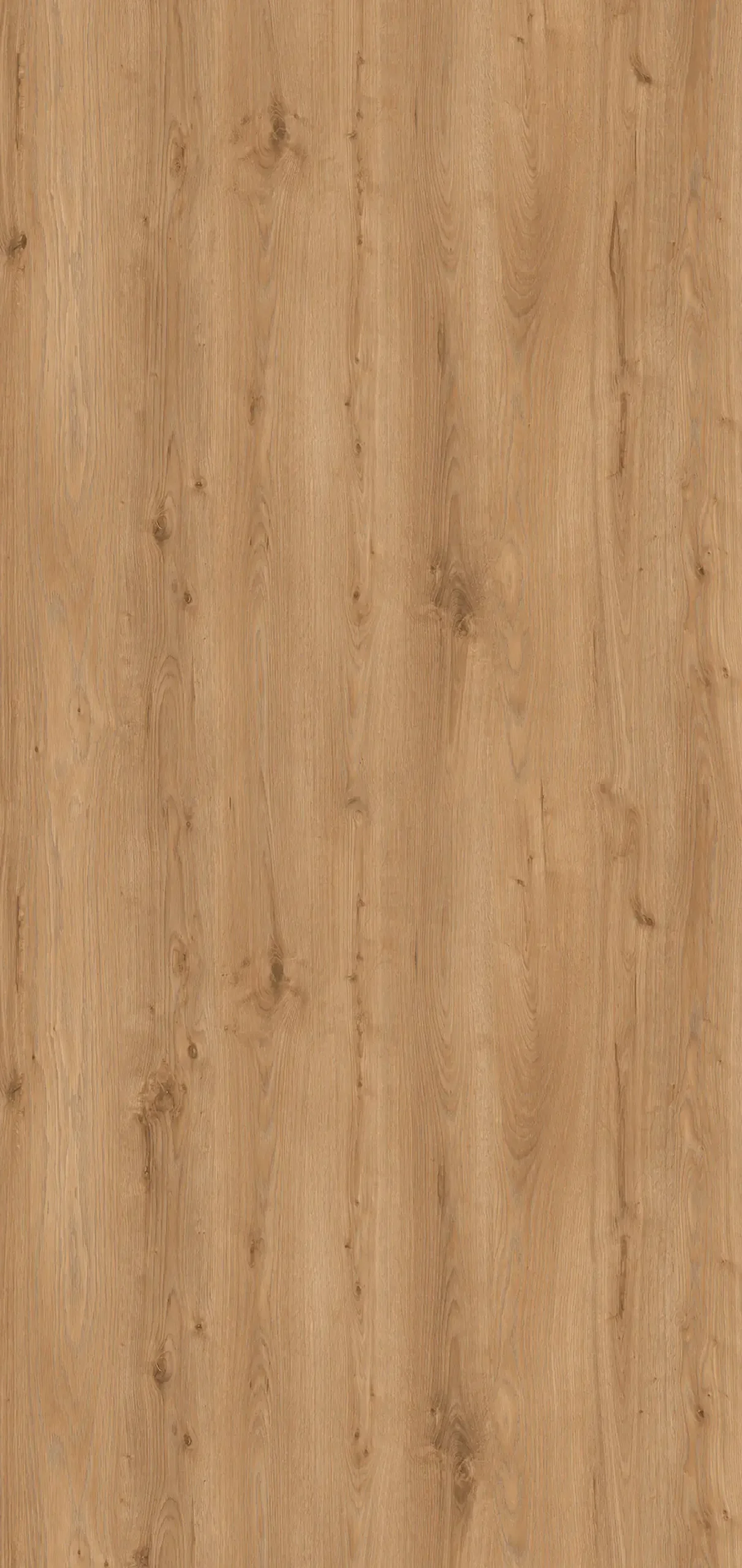 Classen Wandverkleidung Vario Nature Oak 255 x 120 cm 3 mm