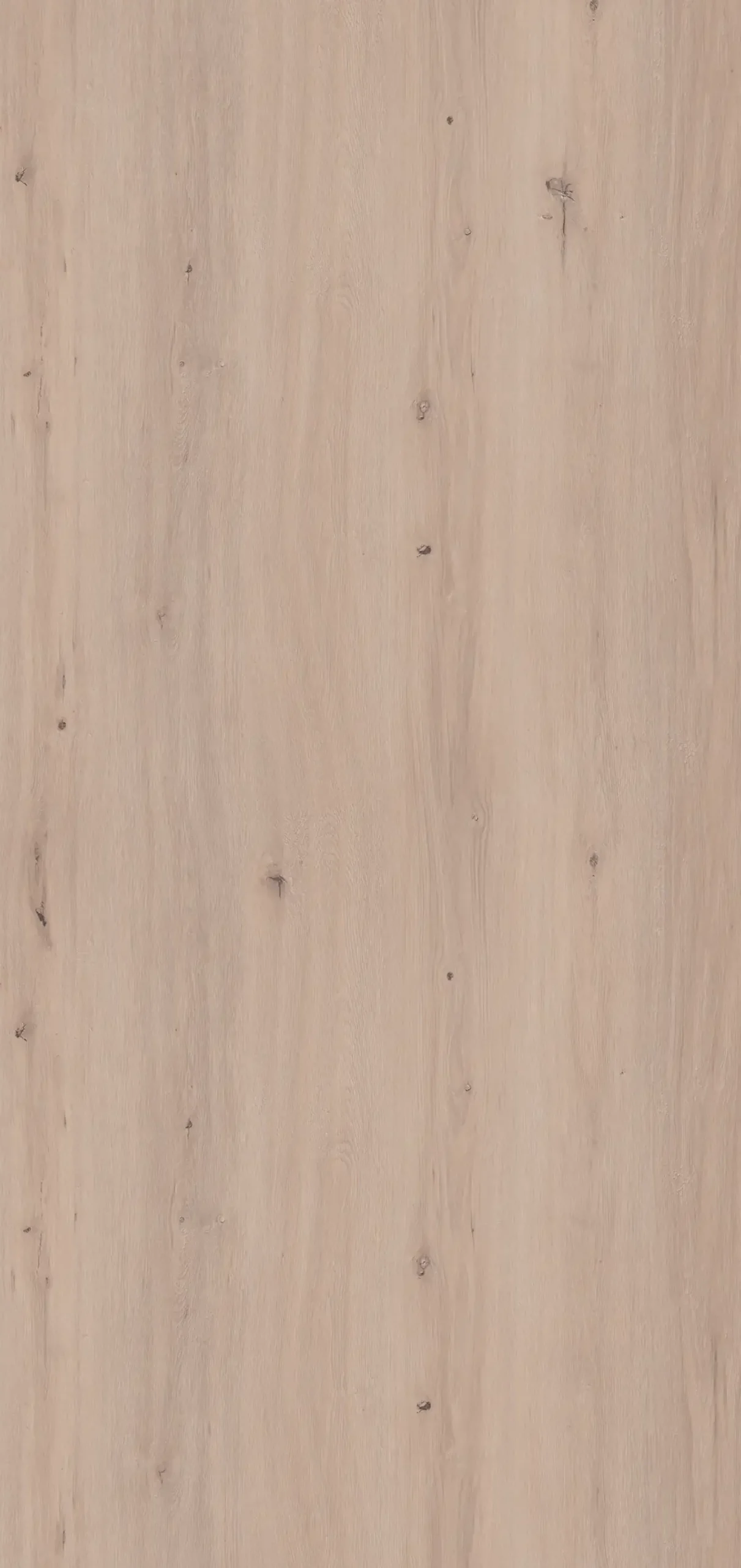 Classen Wandverkleidung Vario Grey Oak 255 x 120 cm 3 mm