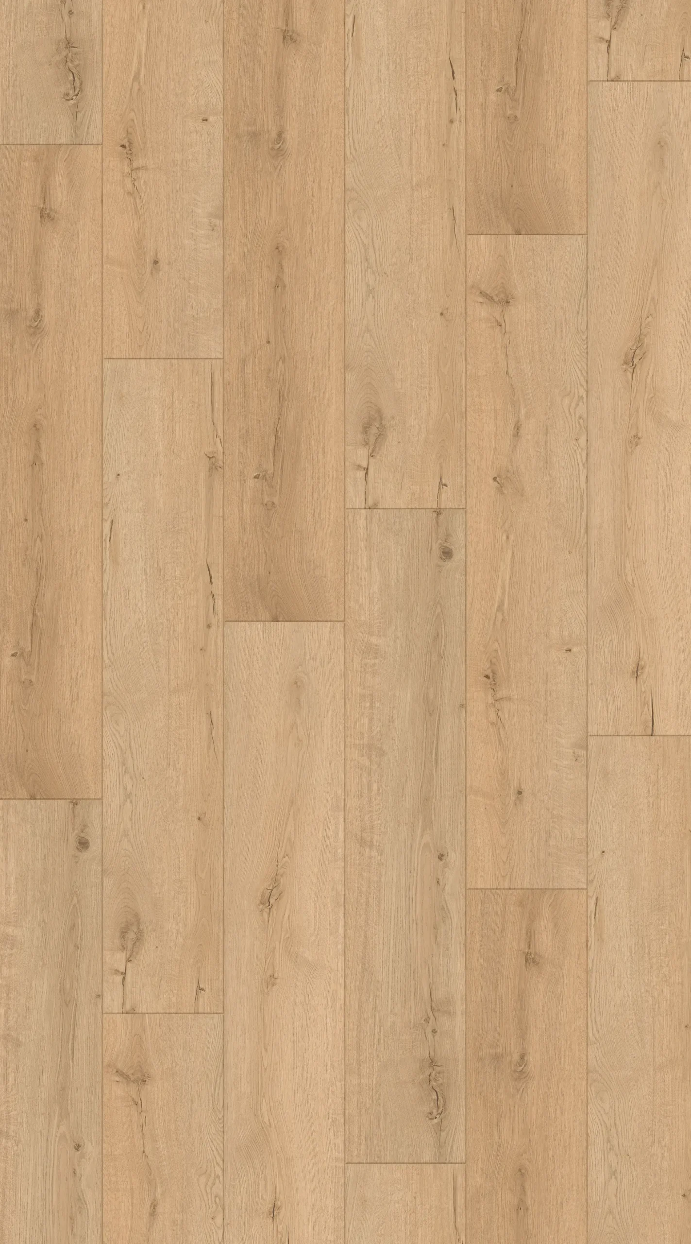 Decoflooring Vinylboden mit Trittschalldämmung Eiche Nova Scandic