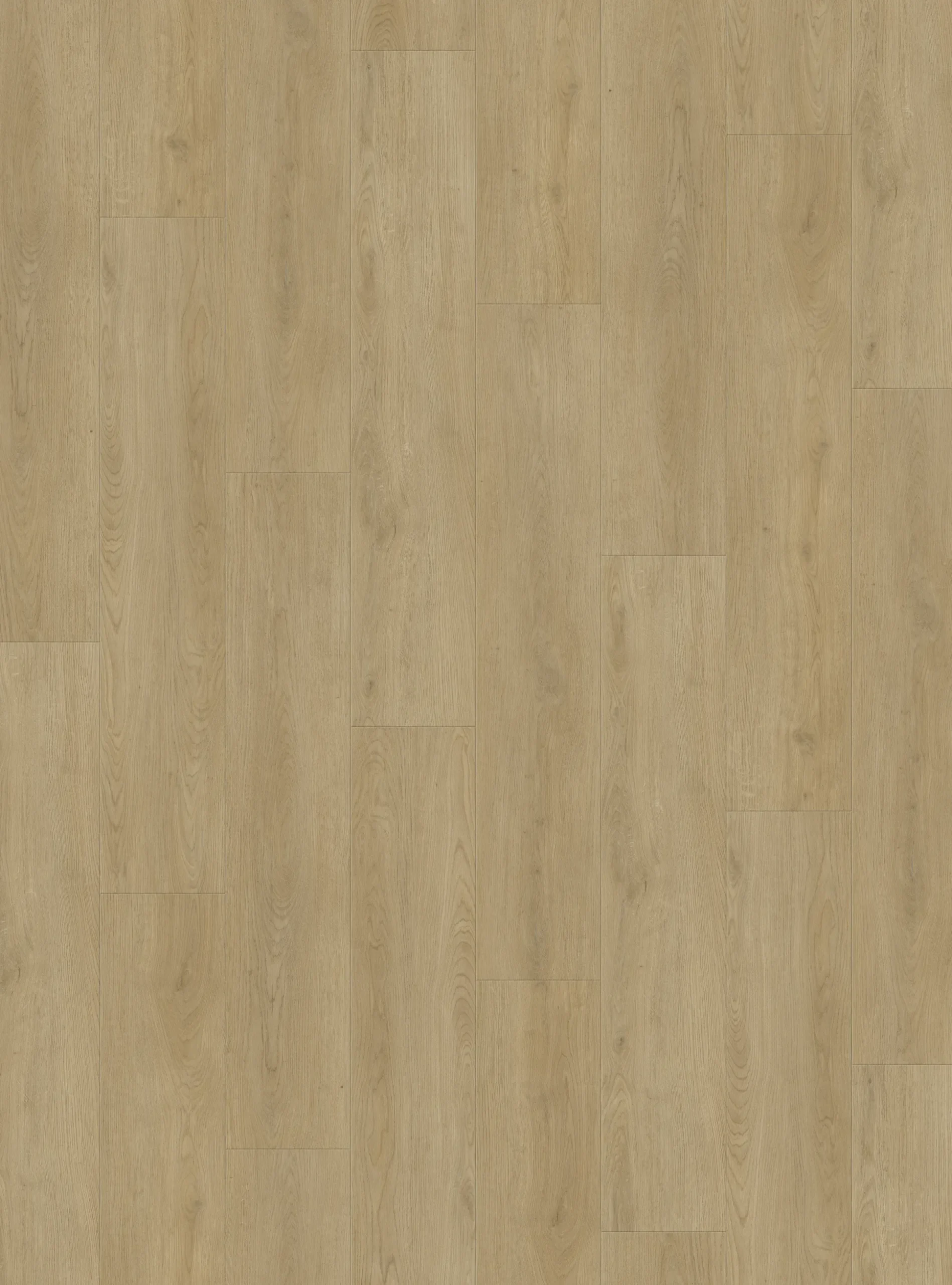 Decoflooring Vinylboden mit Trittschalldämmung Eiche Nova Nordic