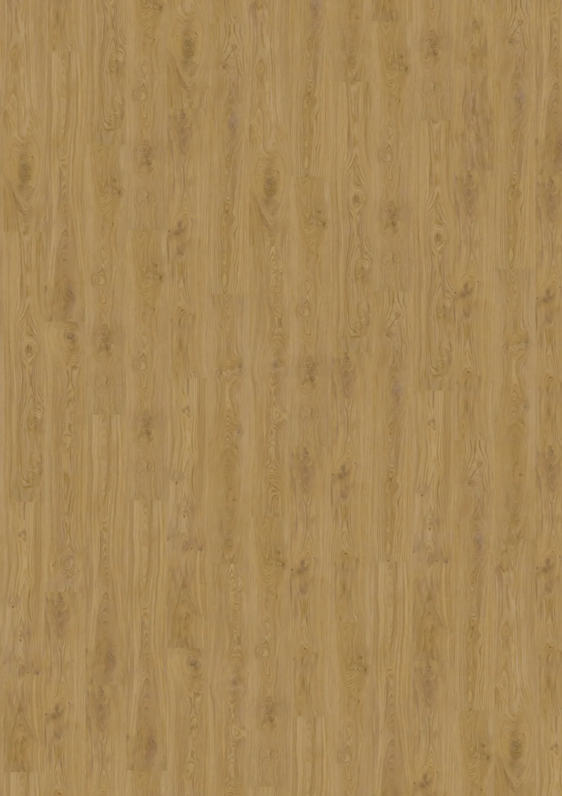 Decolife Vinylboden mit Trittschalldämmung Freestyle Acces Oak Nature