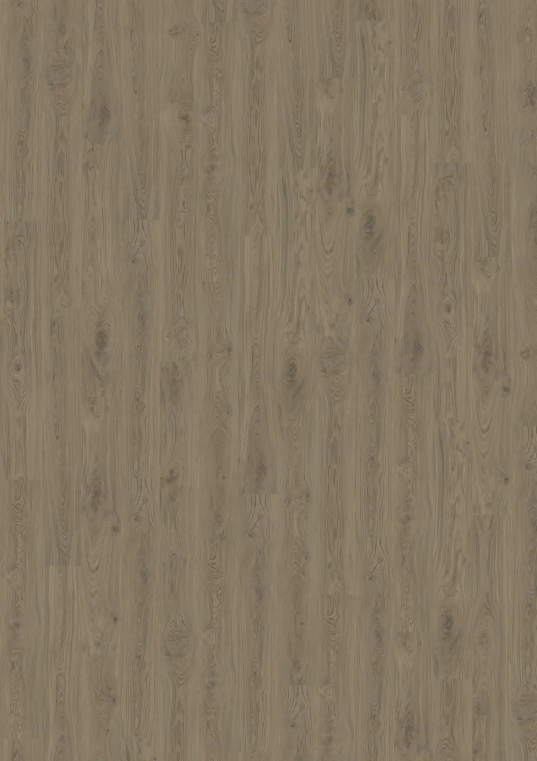 Decolife Vinylboden mit Trittschalldämmung Freestyle Acces Oak Copper