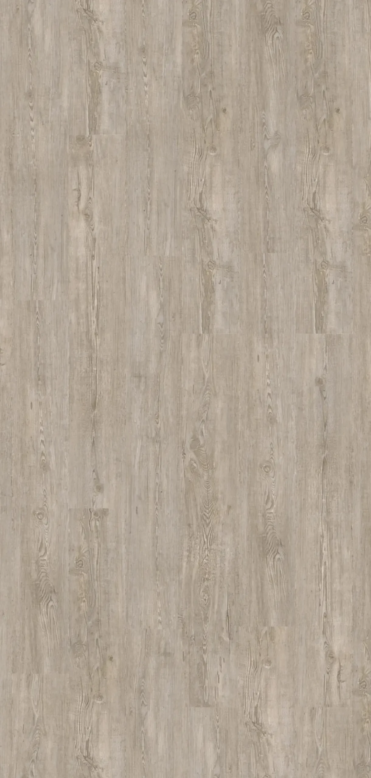 Decolife Vinylboden mit Trittschalldämmung Freestyle Acces Winter Pine