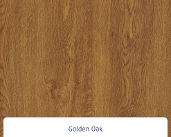EcoStar Haustür ISOPRO Secur IPS 780S RC2 golden oak 110 x 210 cm