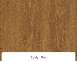 EcoStar Haustür ISOPRO Secur IPS 770S RC2 golden oak 110 x 210 cm