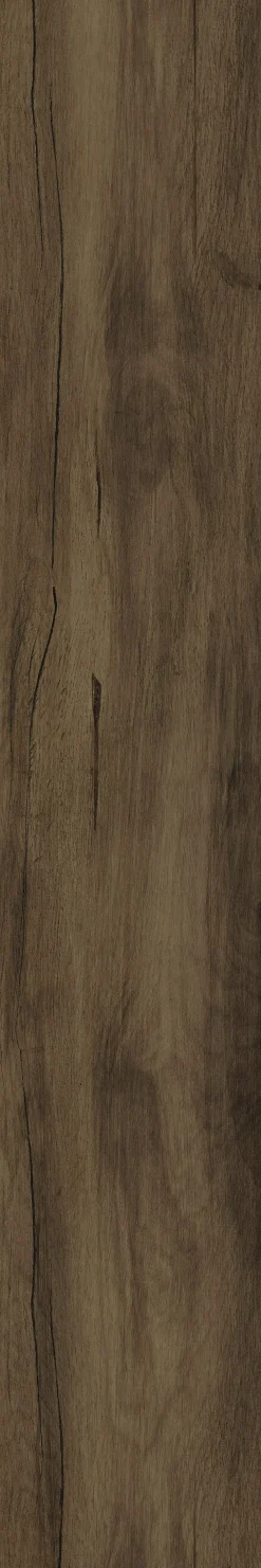 Eurostone Bodenfliese Feinsteinzeug Timber 20 x 120 cm braun