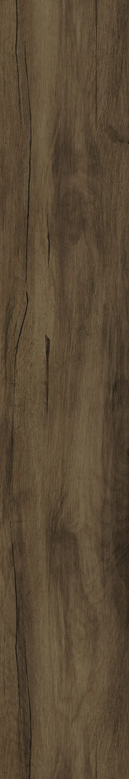 Eurostone Bodenfliese Feinsteinzeug Timber 20 x 120 cm braun