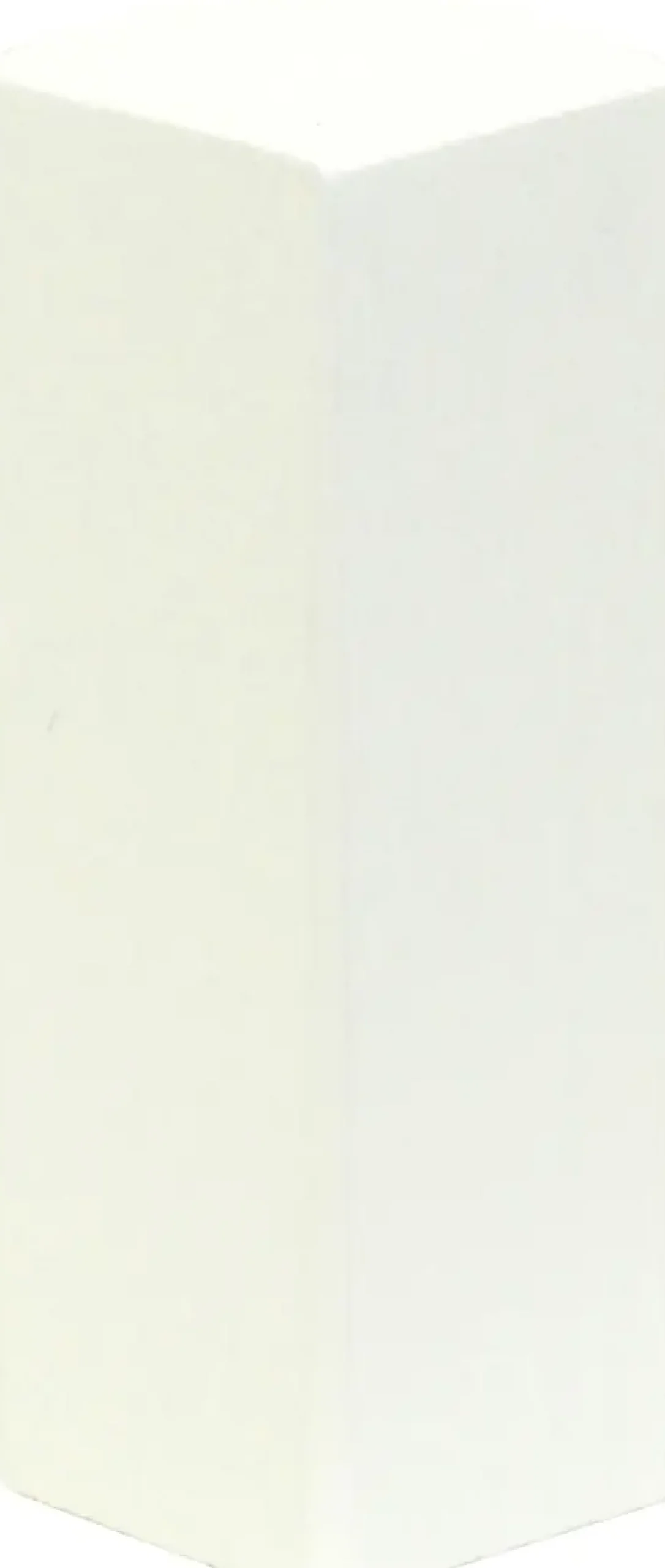 FN Neuhofer Eckenstäbchen L0160L 20 x 60 mm weiss 1 Stück