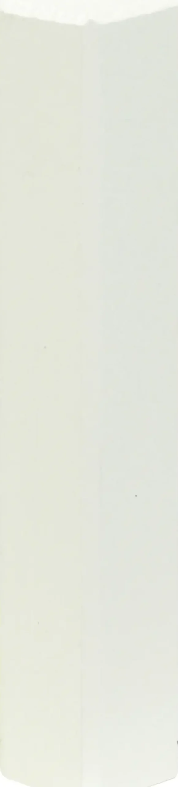 FN Neuhofer Eckenstäbchen L0160L 20 x 117 mm weiss 1 Stück