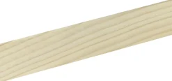 FN Neuhofer Flachleiste 100 cm 40 x 5 mm Fichte/Kiefer