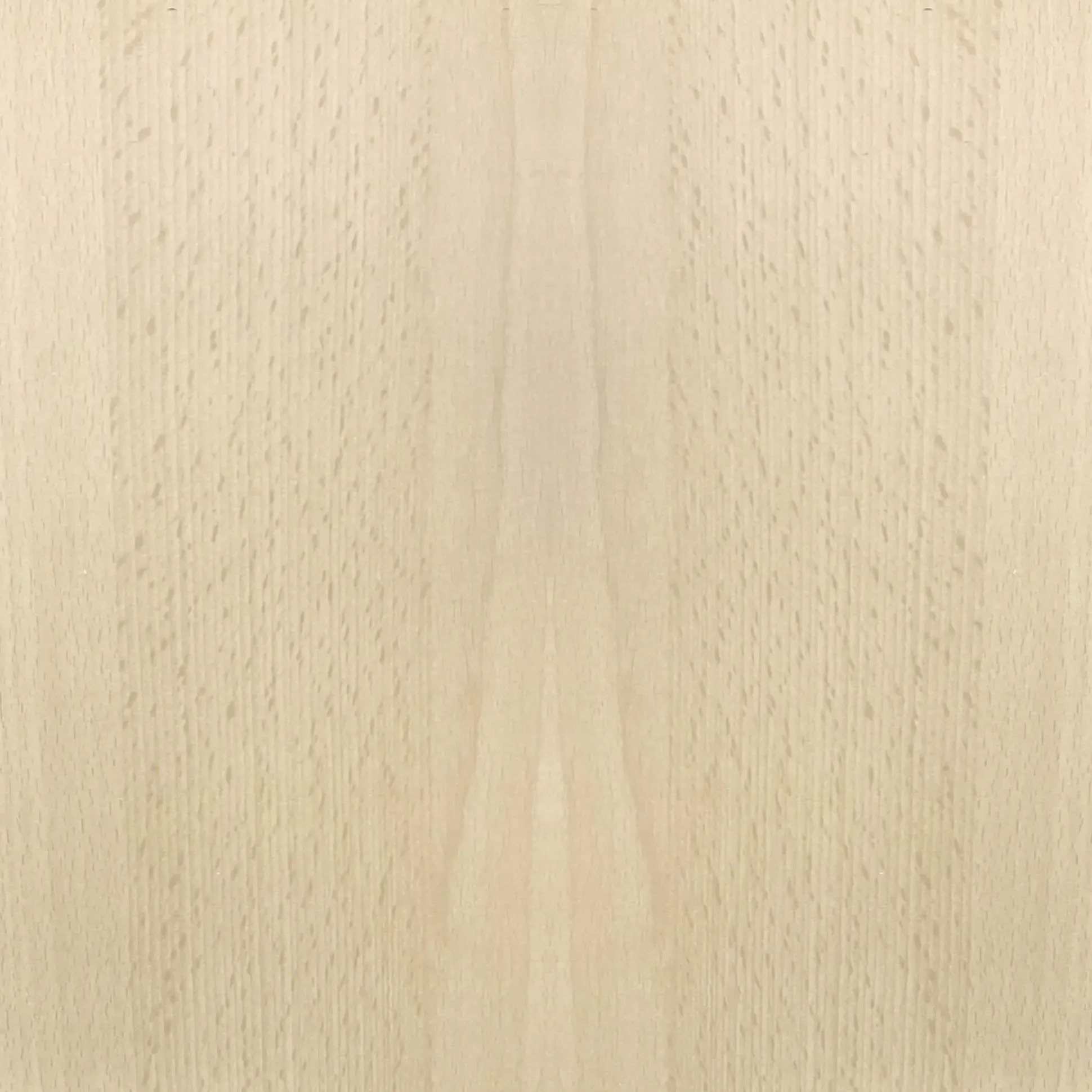 FN Neuhofer Flachleiste 95 cm 35 x 8 mm Buche