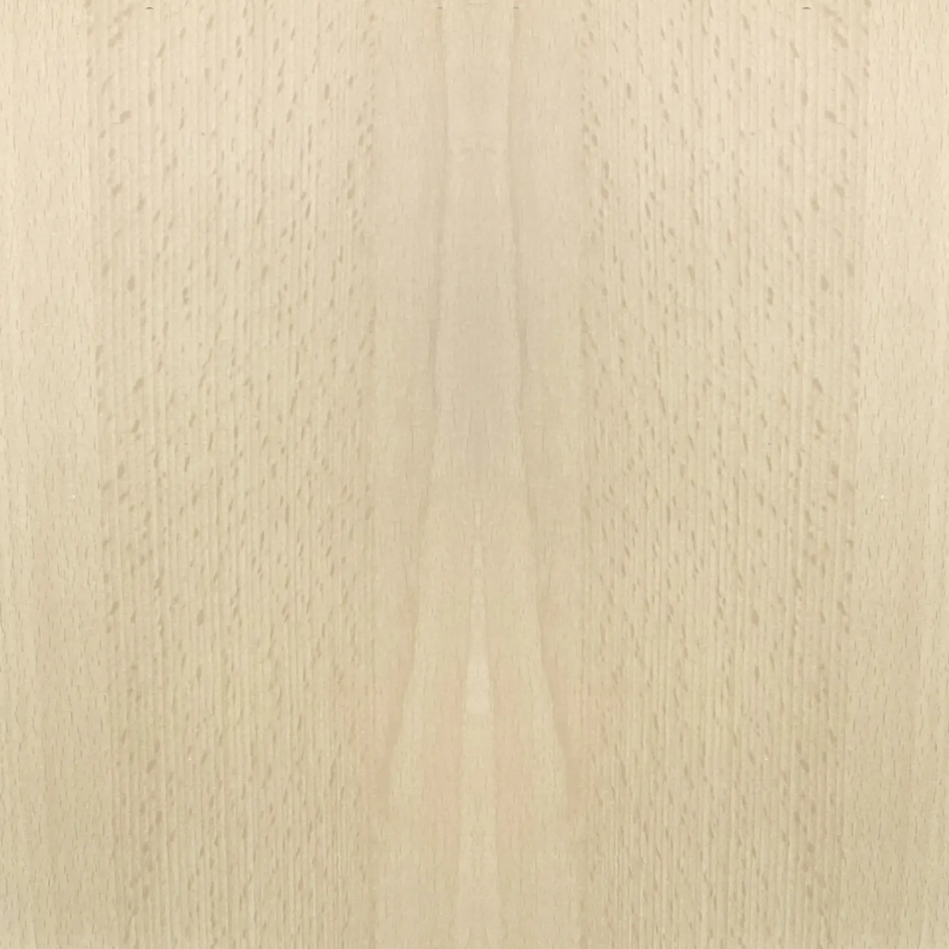 FN Neuhofer Flachleiste 95 cm 29 x 10 mm Buche