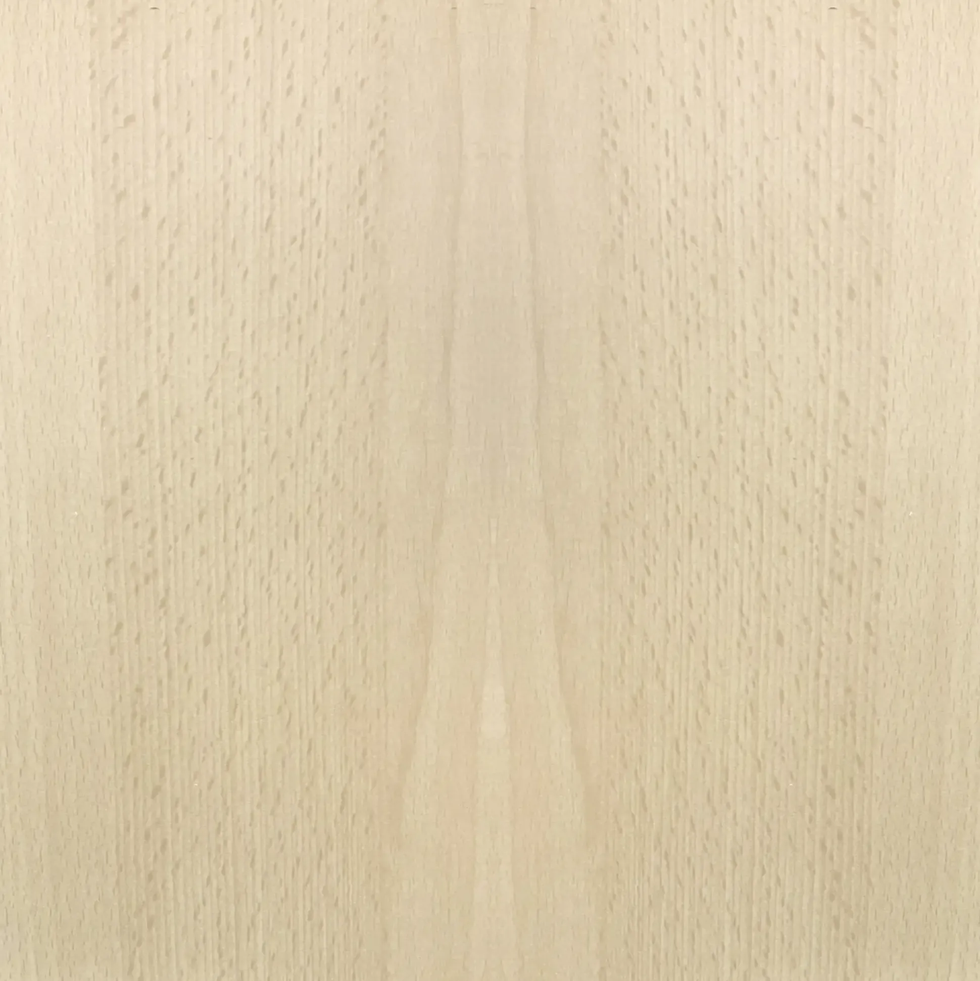 FN Neuhofer Flachleiste 95 cm 40 x 10 mm Buche