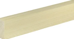 FN Neuhofer Flachleiste 100 cm 60 x 29 mm Fichte/Kiefer