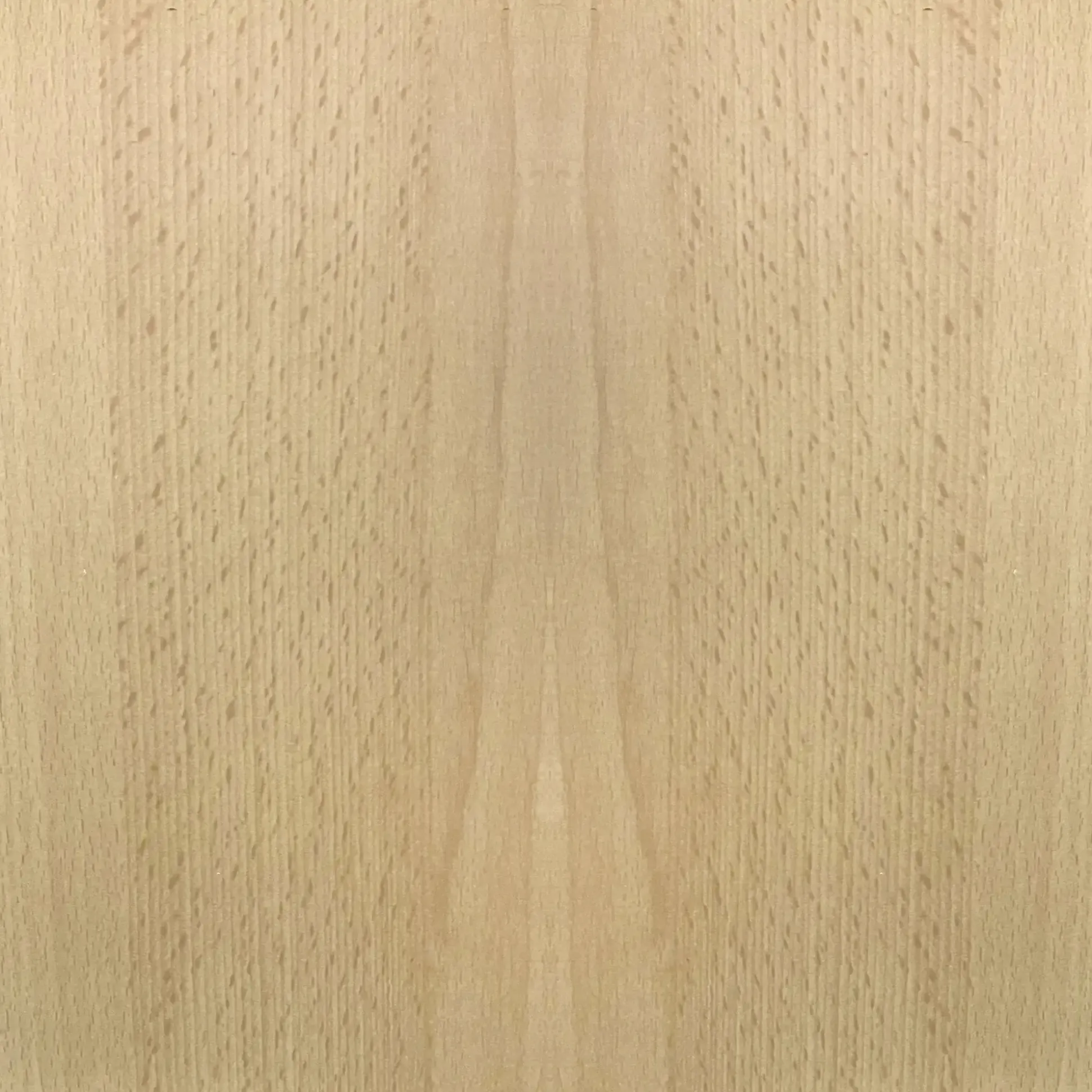 FN Neuhofer Flachleiste 210 cm 55 x 20 mm Buche