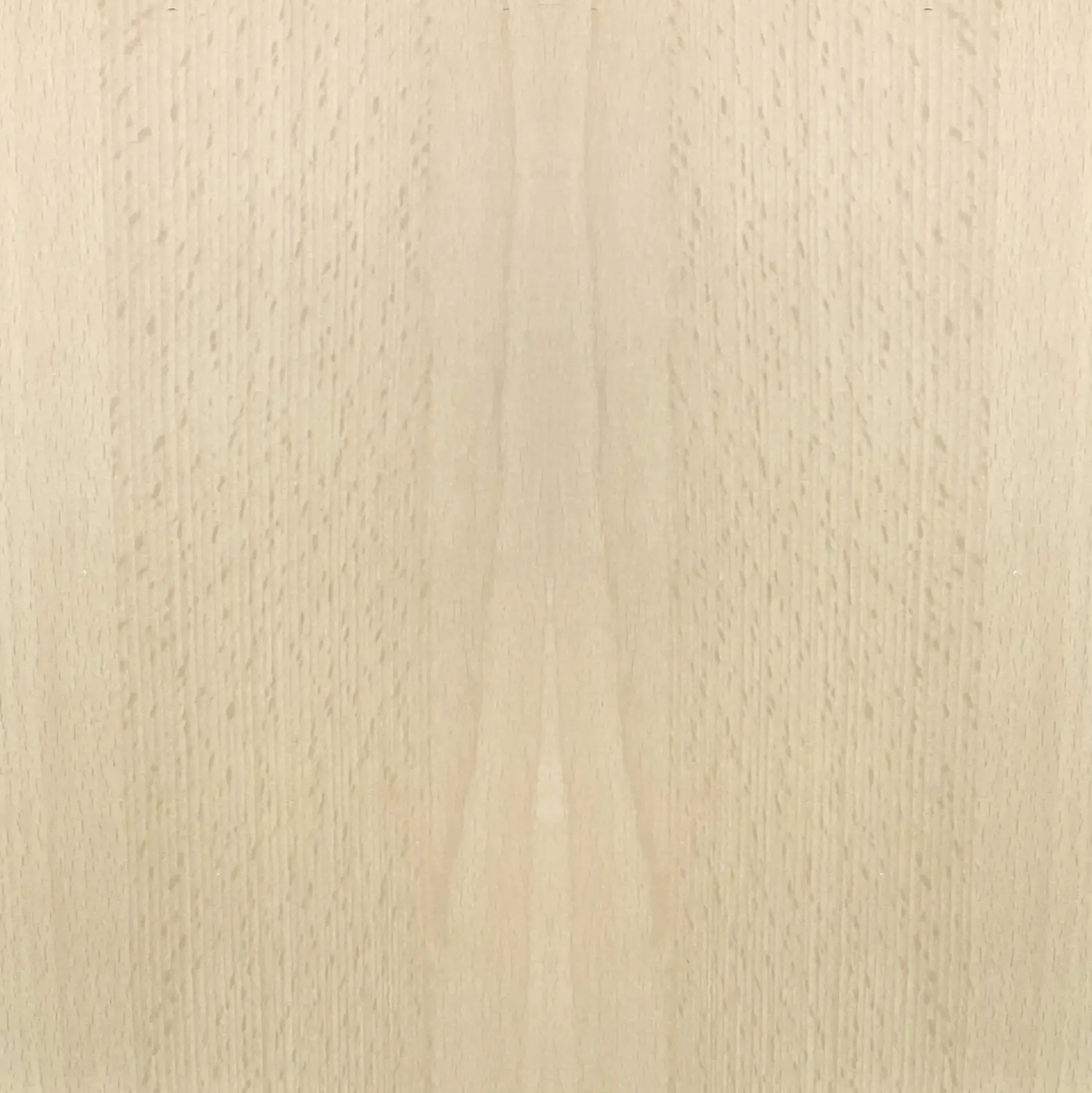 FN Neuhofer Flachleiste 210 cm 20 x 20 mm Buche