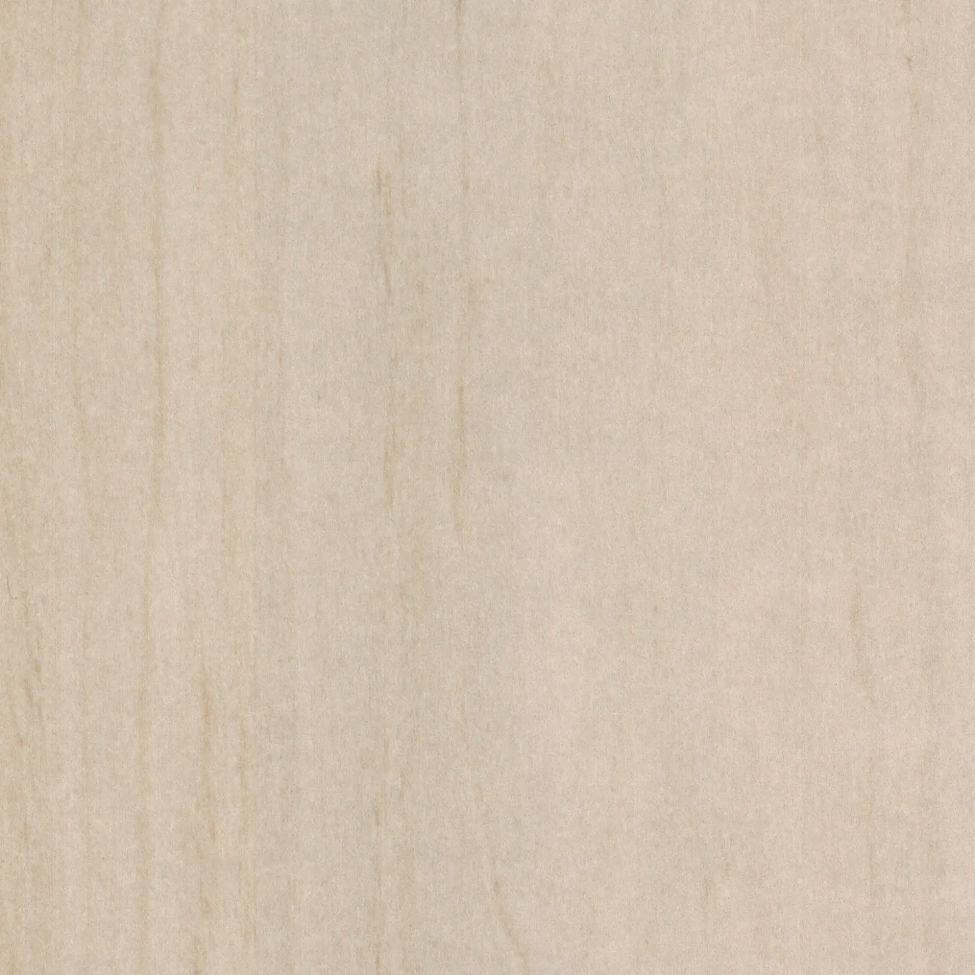 FN Neuhofer Fußleiste 240 cm 38,5 x 15 mm Eiche ashby foliert
