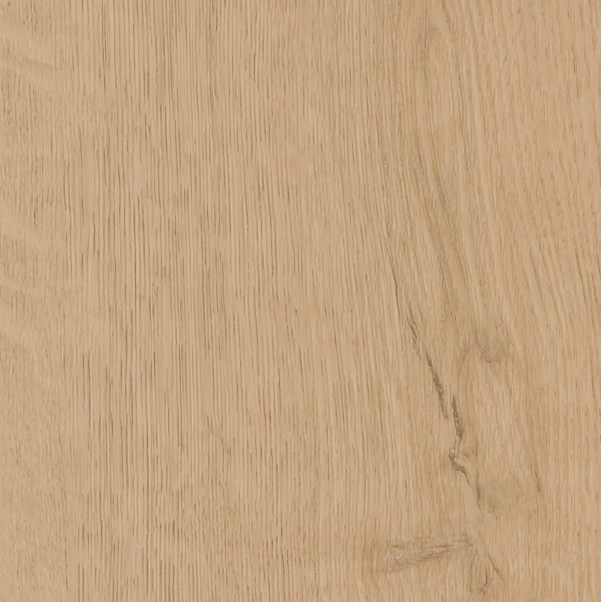 FN Neuhofer Fußleiste 240 cm 38,5 x 15 mm Eiche nova Scandic natur foliert