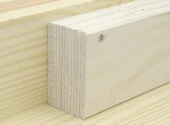 FN Neuhofer Rahmen Wood Pro 240 cm 70 x 42 mm Fichte