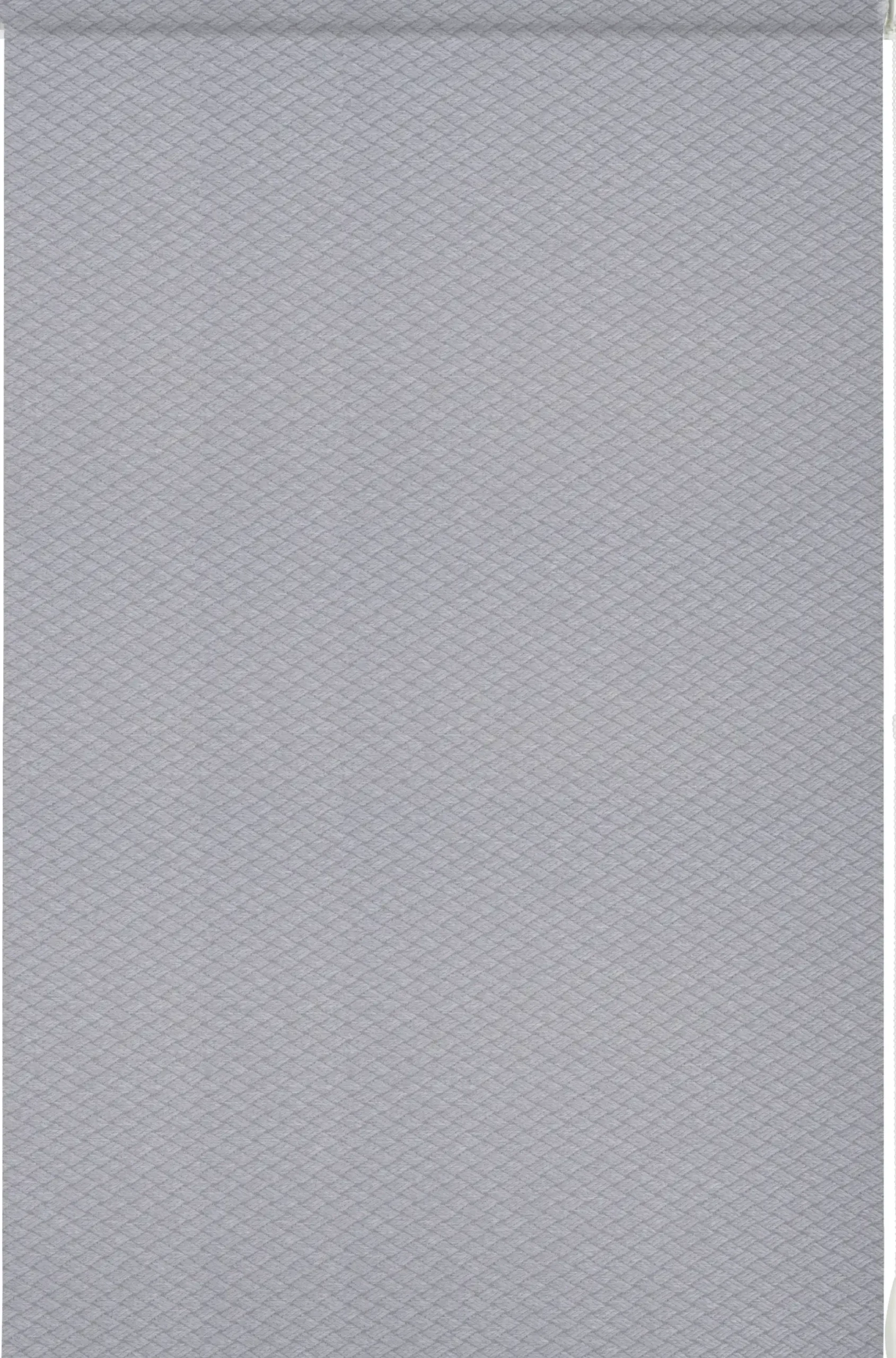 Gardinia EasyFix Rollo hellgrau 100 x 160 cm Shaun