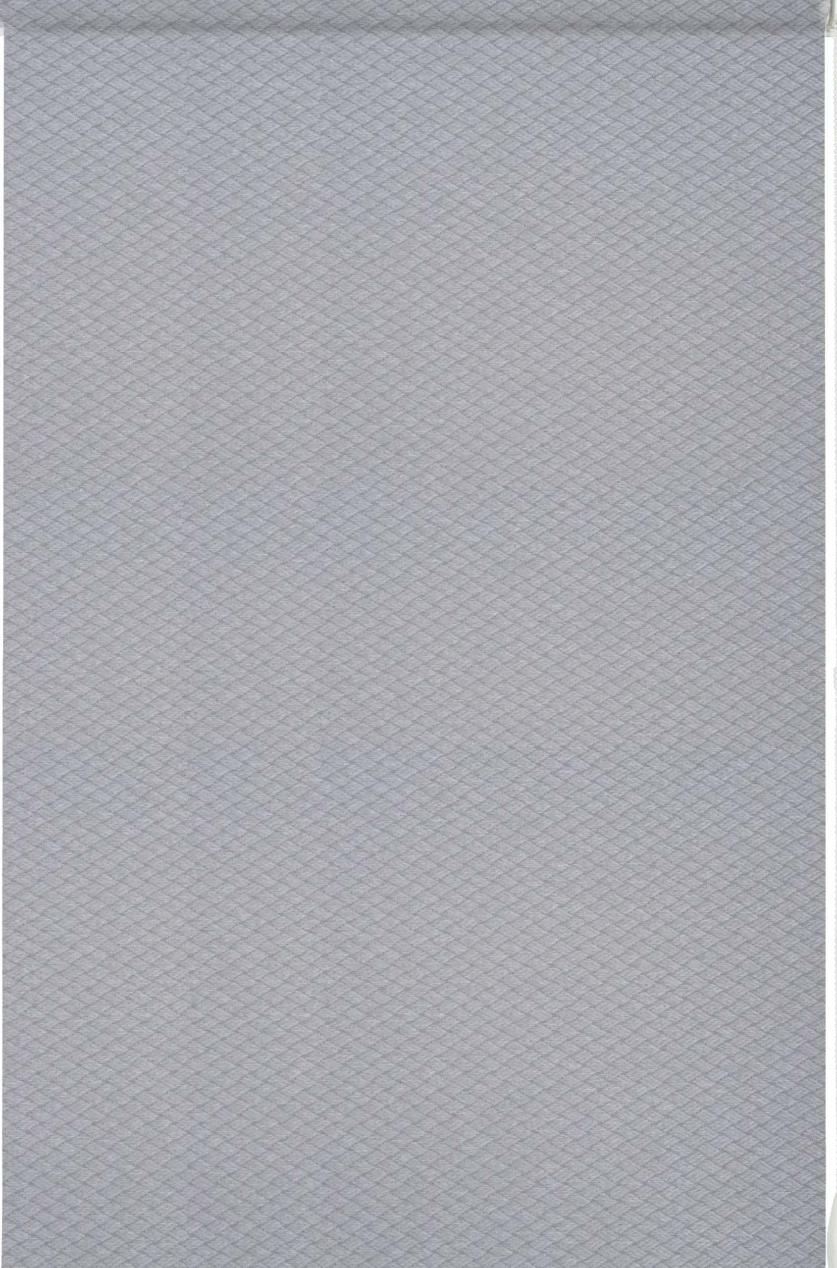 Gardinia EasyFix Rollo hellgrau 60 x 160 cm Shaun